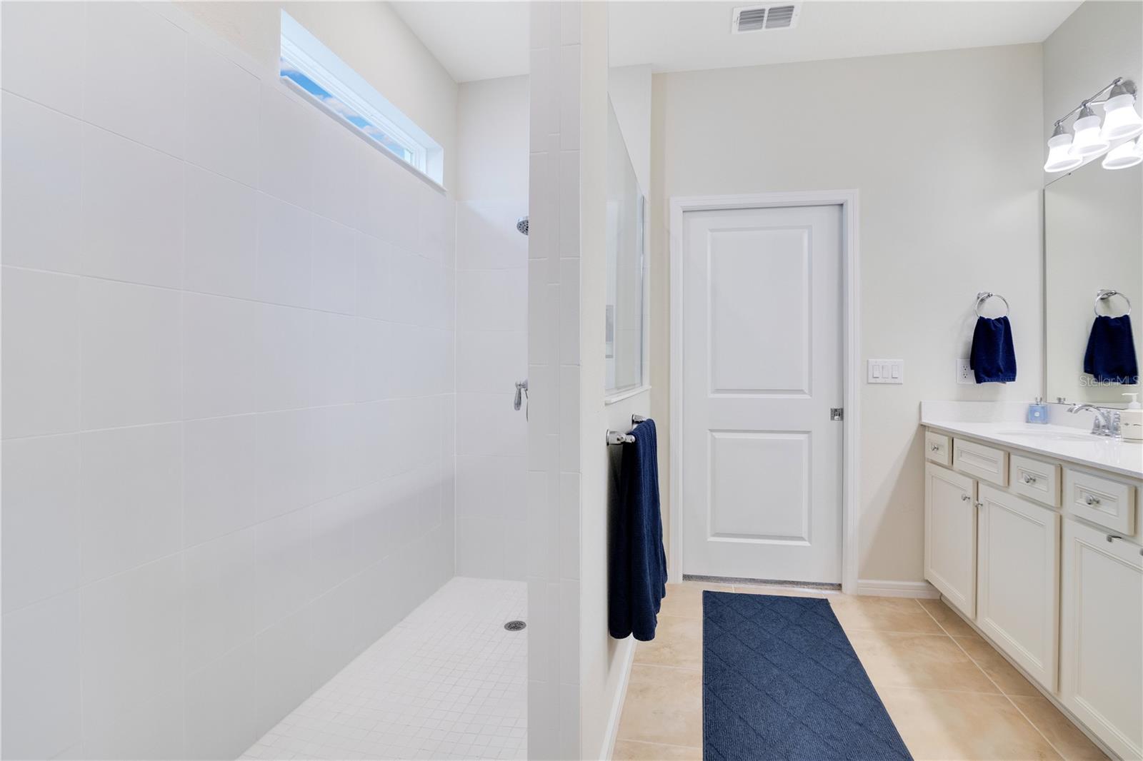 17543 SAW PALMETTO AVE, CLERMONT, FL, 34714