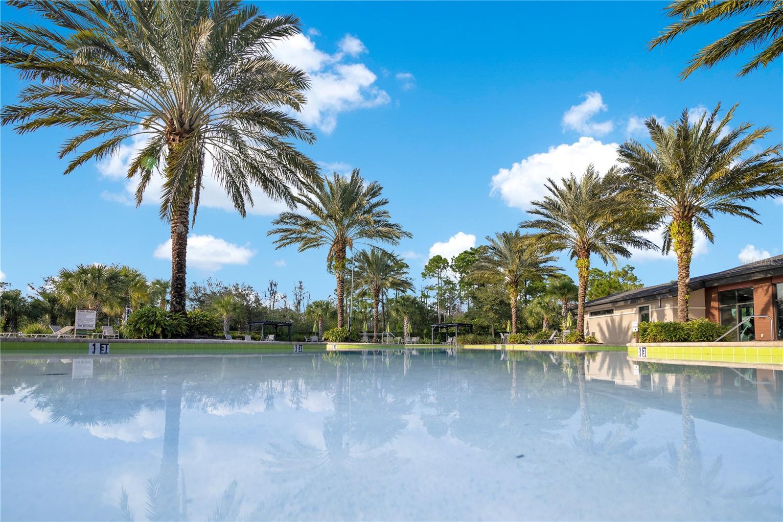 17543 SAW PALMETTO AVE, CLERMONT, FL, 34714