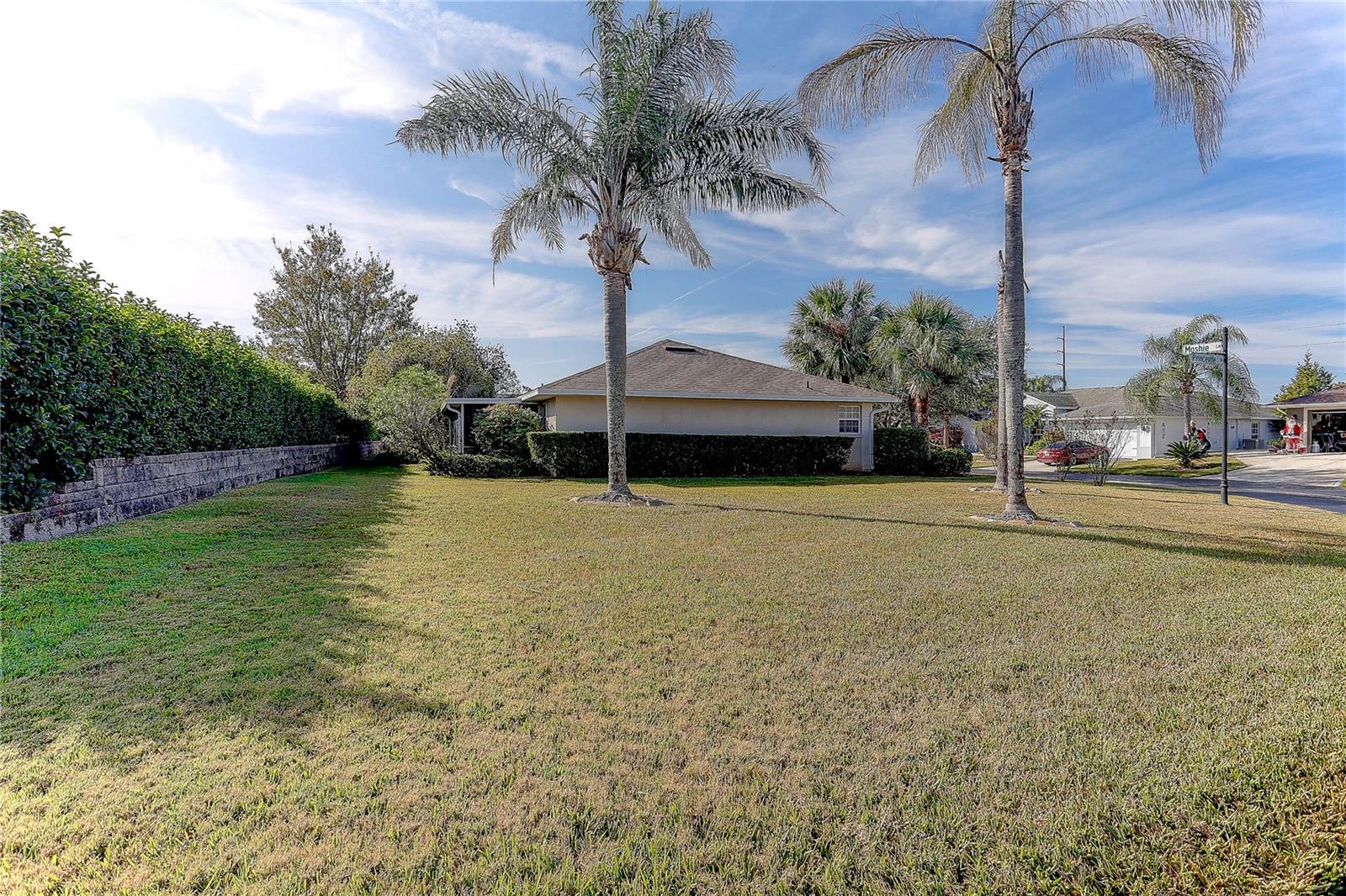 10105 MOSHIE LN, SAN ANTONIO, FL, 33576