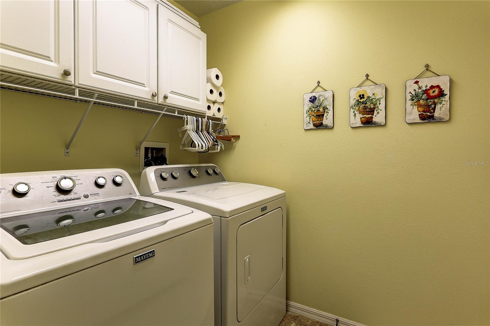 10105 MOSHIE LN, SAN ANTONIO, FL, 33576