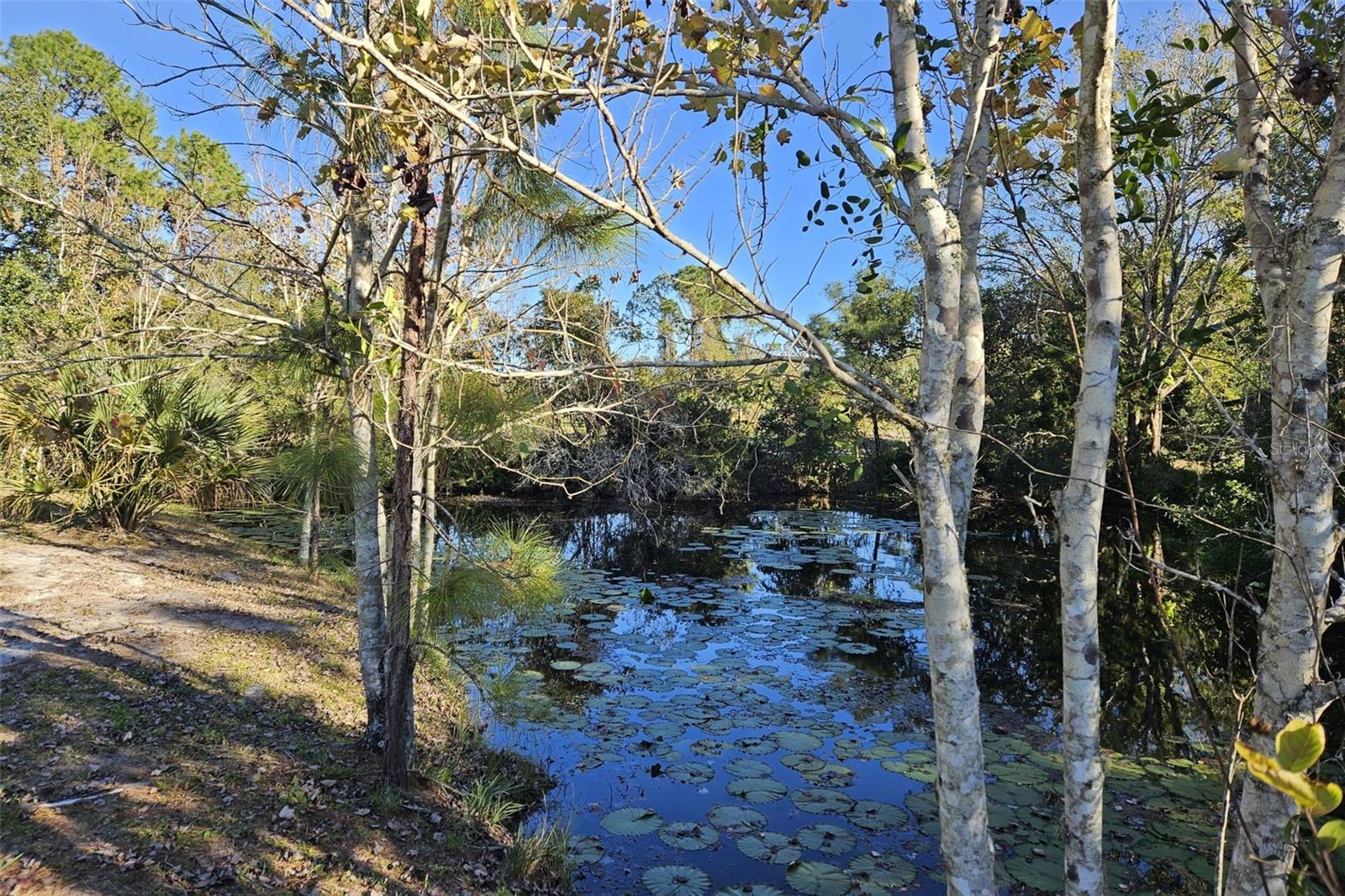 4625 ADDIE AVE, MIMS, FL, 32754