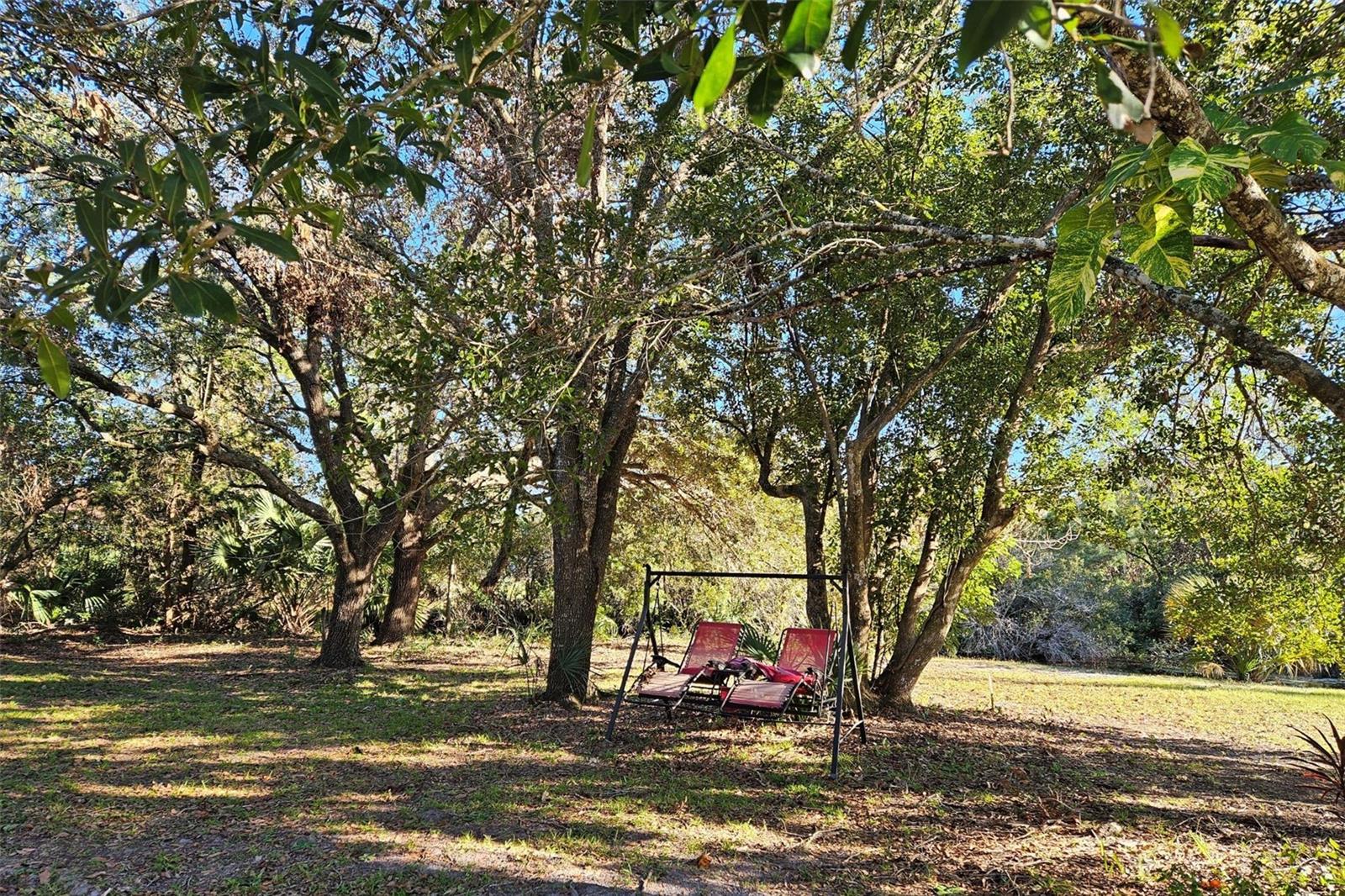 4625 ADDIE AVE, MIMS, FL, 32754