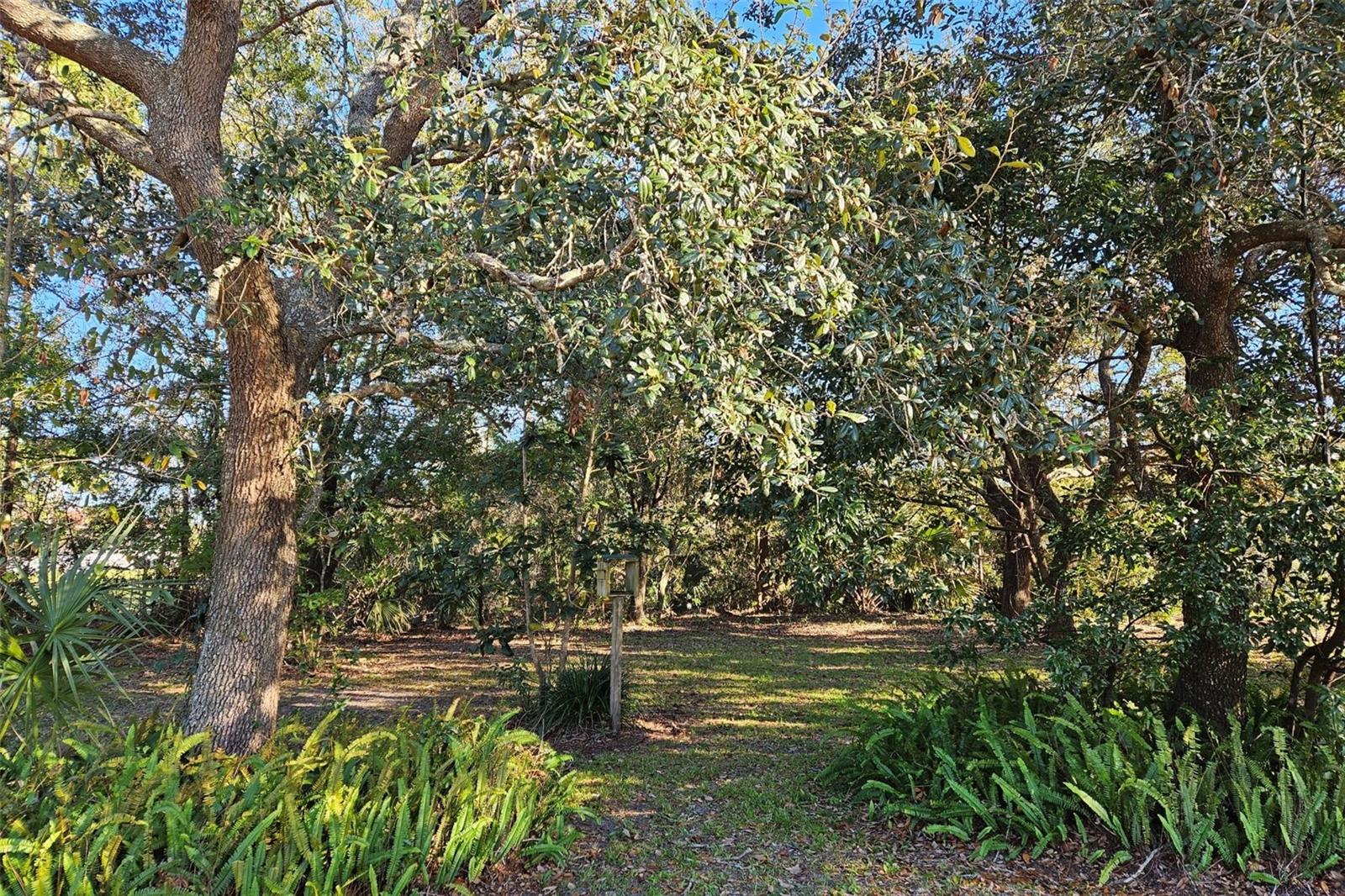 4625 ADDIE AVE, MIMS, FL, 32754