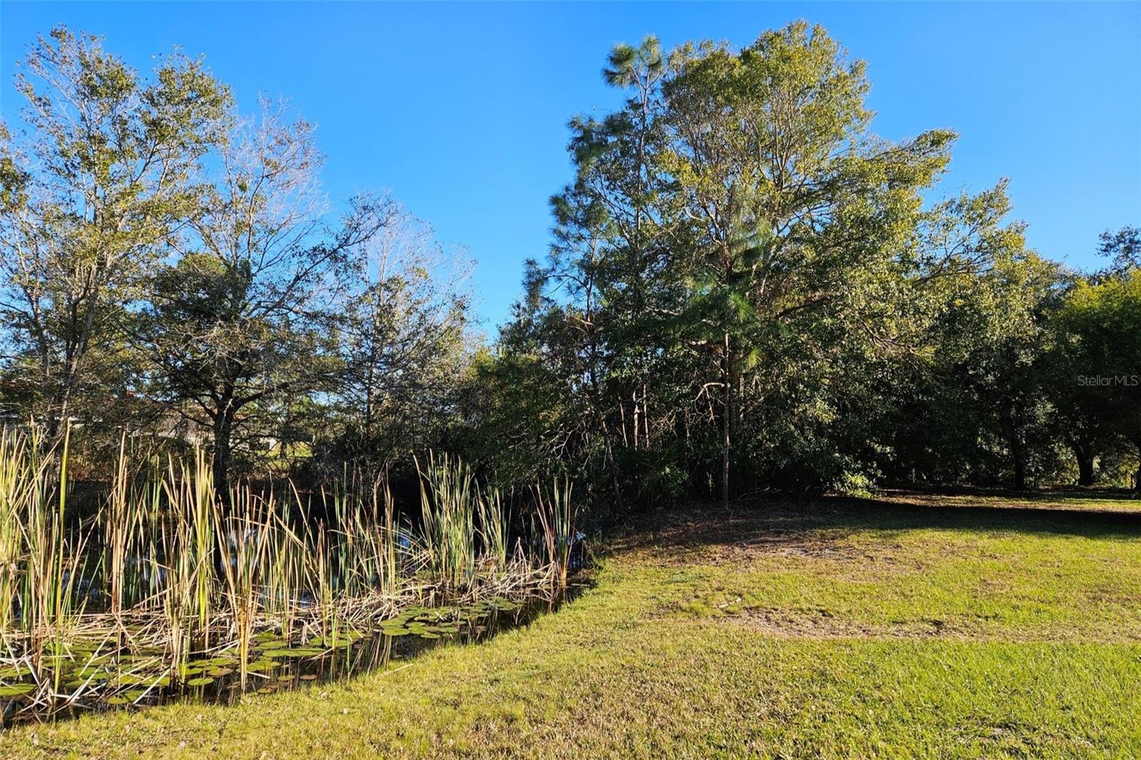 4625 ADDIE AVE, MIMS, FL, 32754