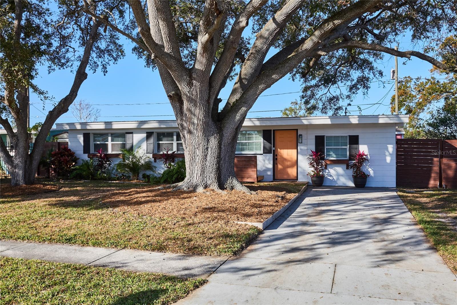 1707 DARLINGTON DR, TAMPA, FL, 33619