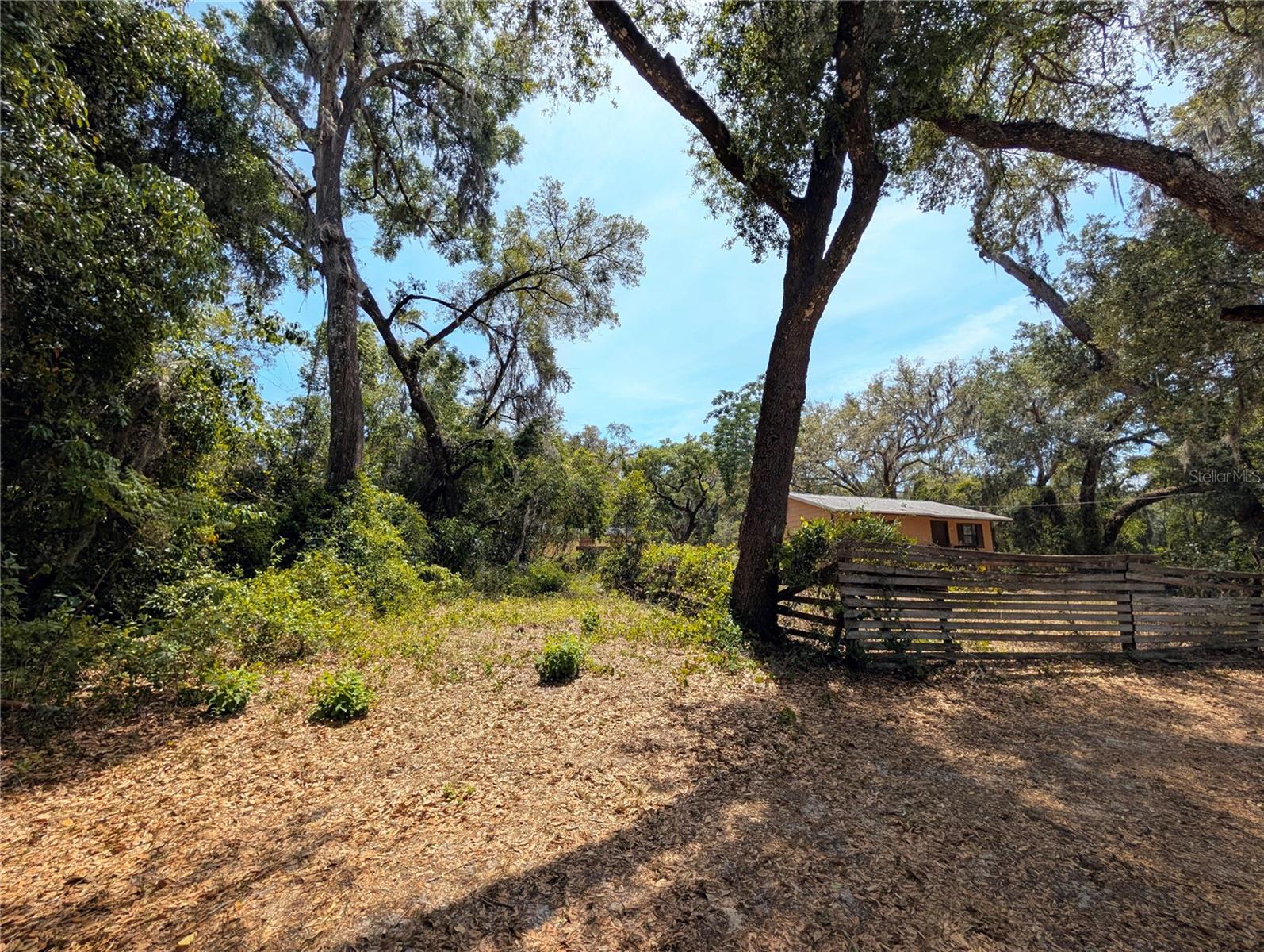 19942 SE 155TH PL, UMATILLA, FL, 32784