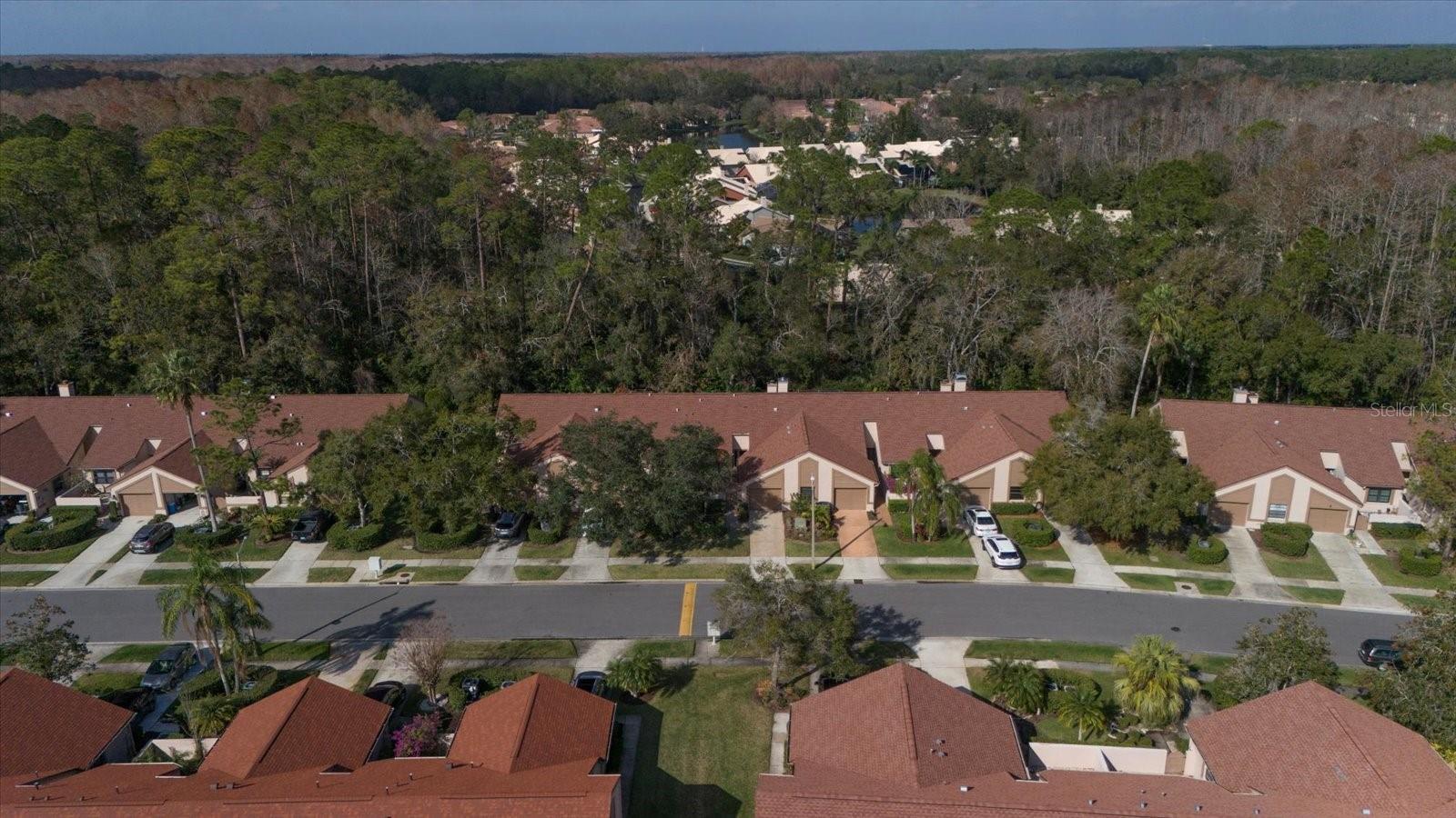 3979 MERMOOR DR, PALM HARBOR, FL, 34685