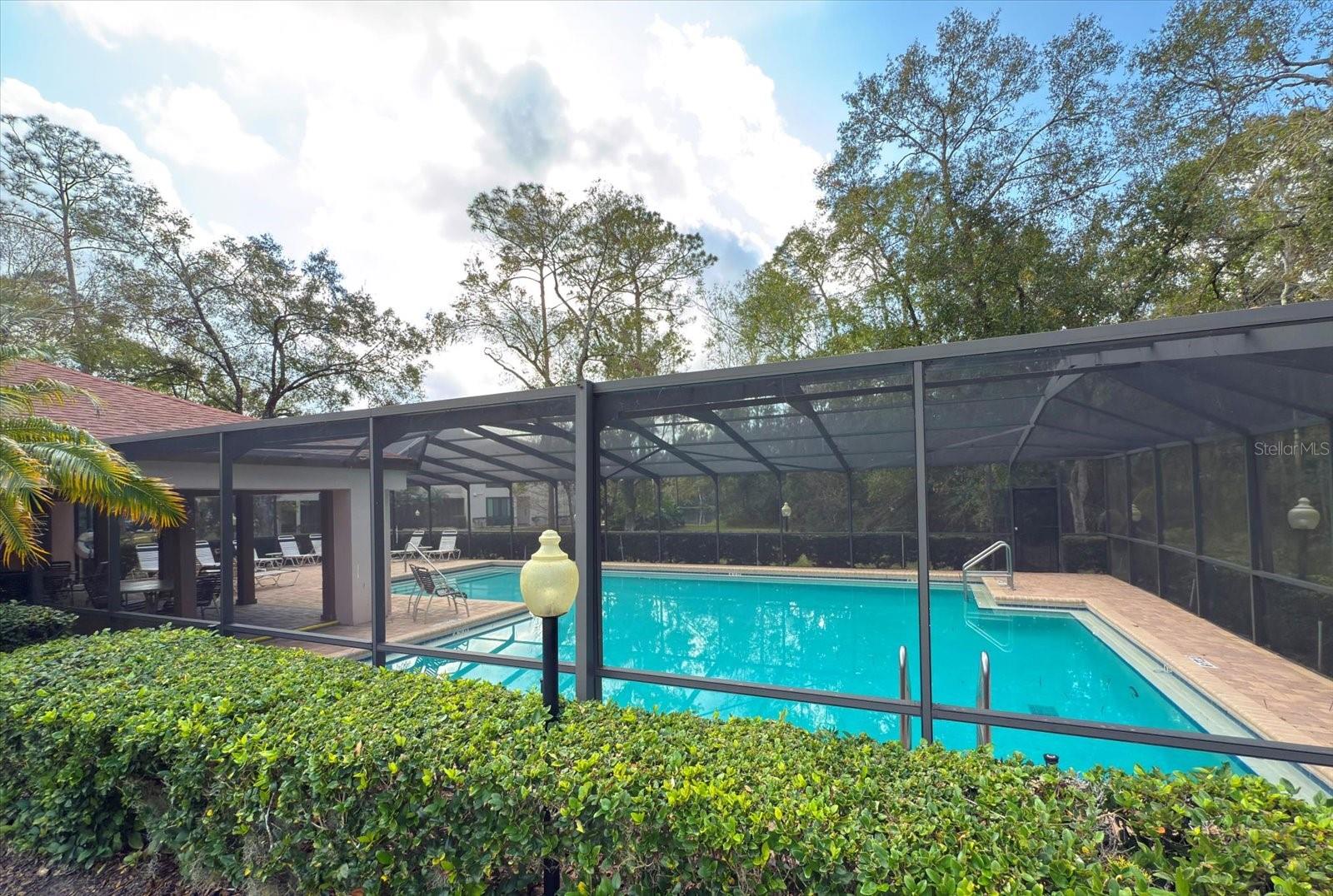 3979 MERMOOR DR, PALM HARBOR, FL, 34685