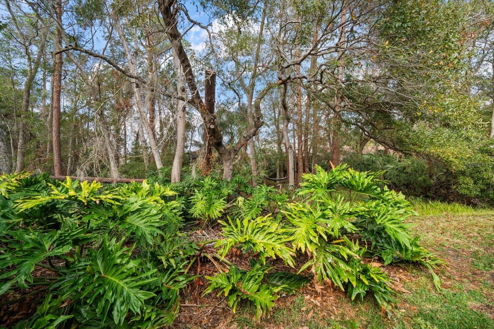 3979 MERMOOR DR, PALM HARBOR, FL, 34685