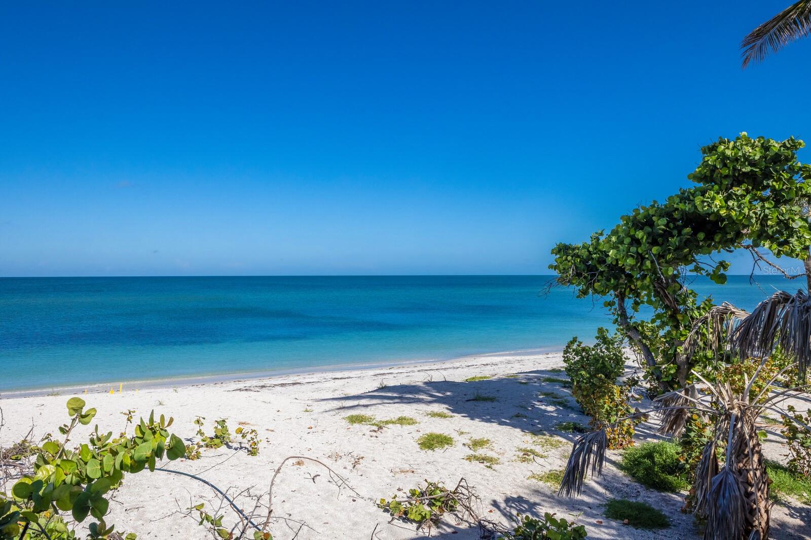 D6139748 Property Photo