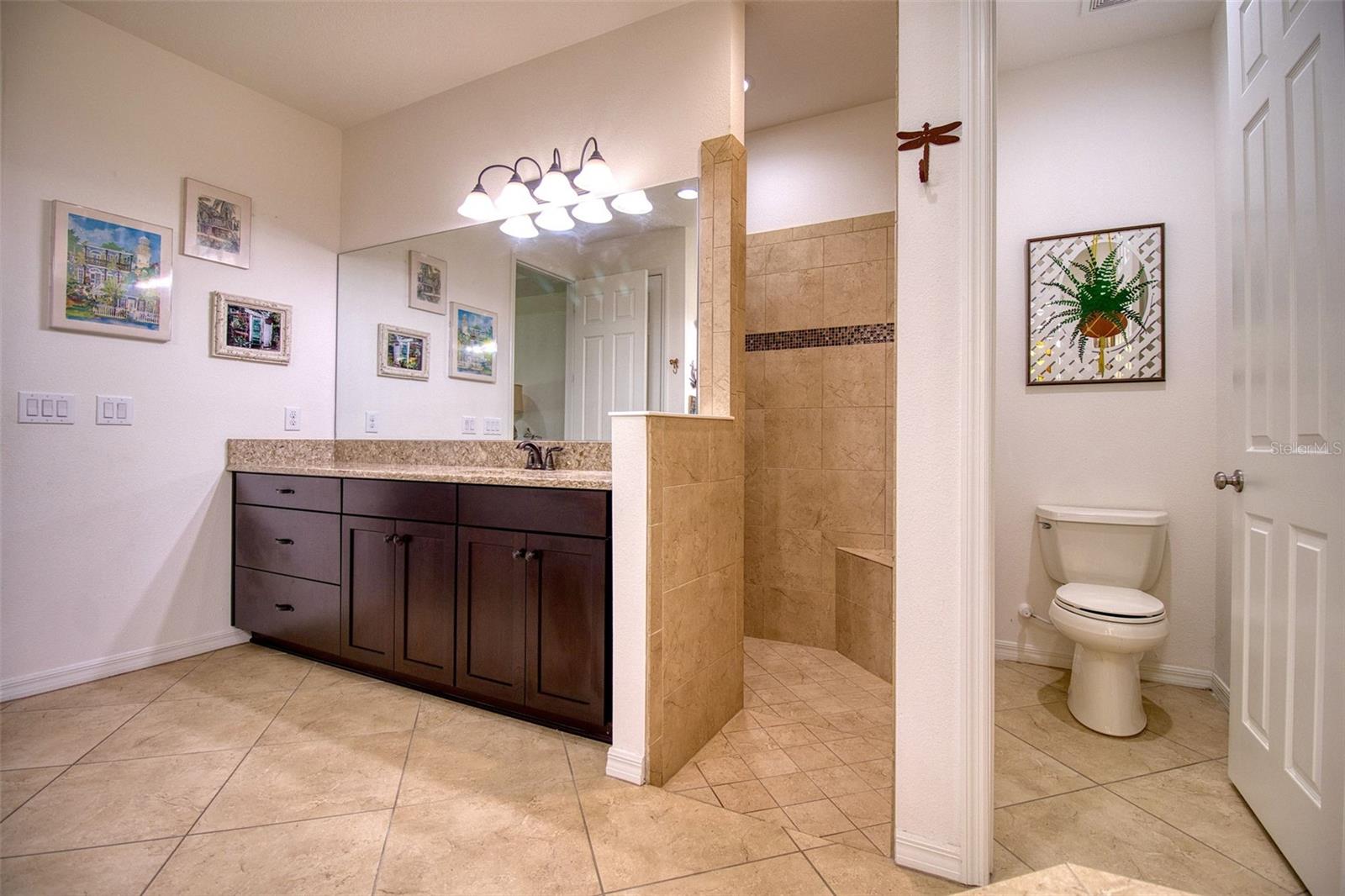 26888 FIDDLEWOOD LOOP, WESLEY CHAPEL, FL, 33544
