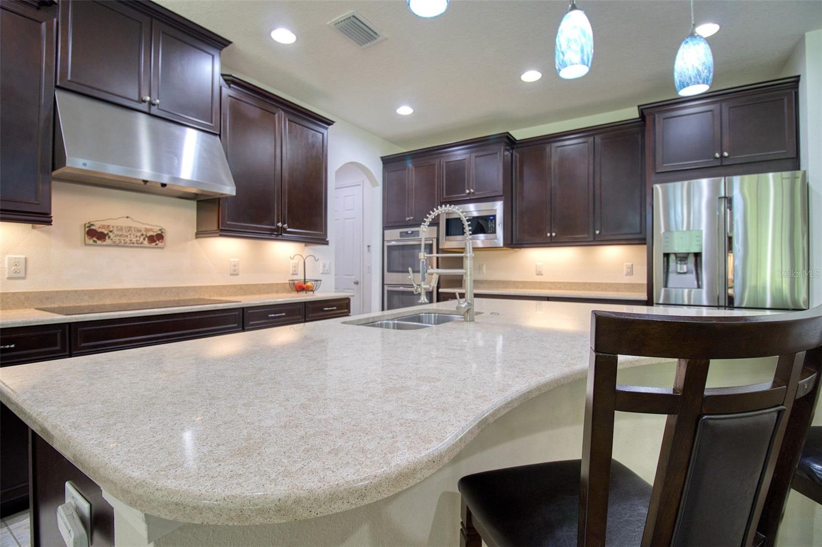 26888 FIDDLEWOOD LOOP, WESLEY CHAPEL, FL, 33544