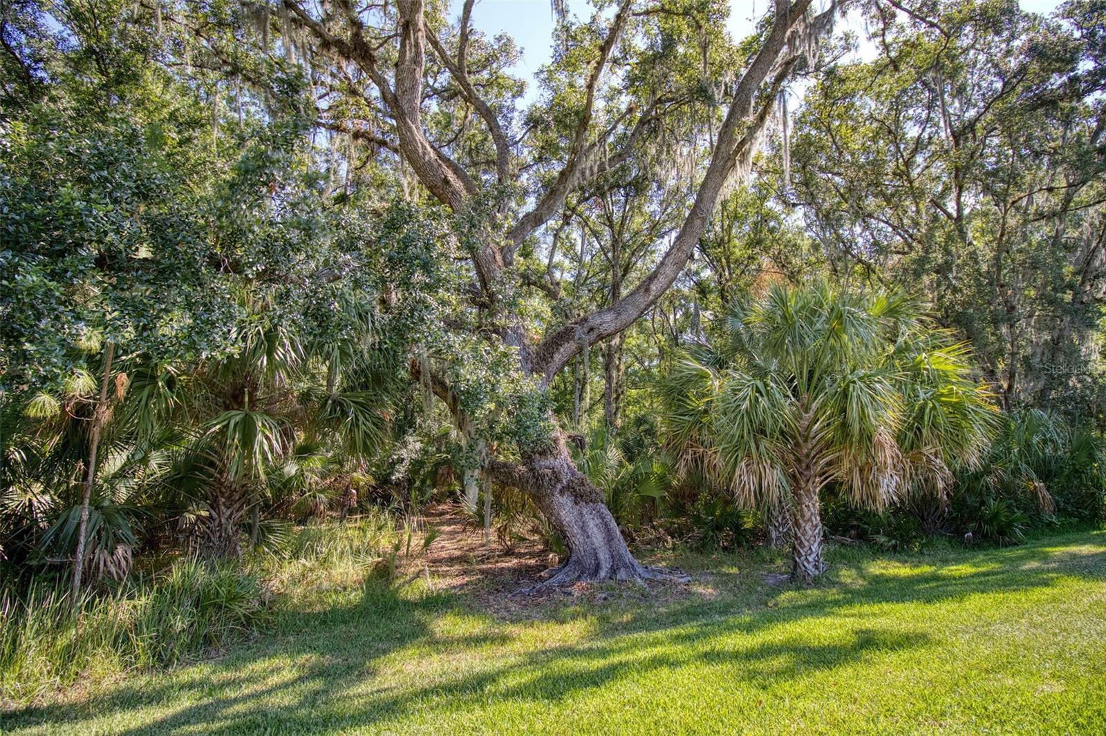 26888 FIDDLEWOOD LOOP, WESLEY CHAPEL, FL, 33544