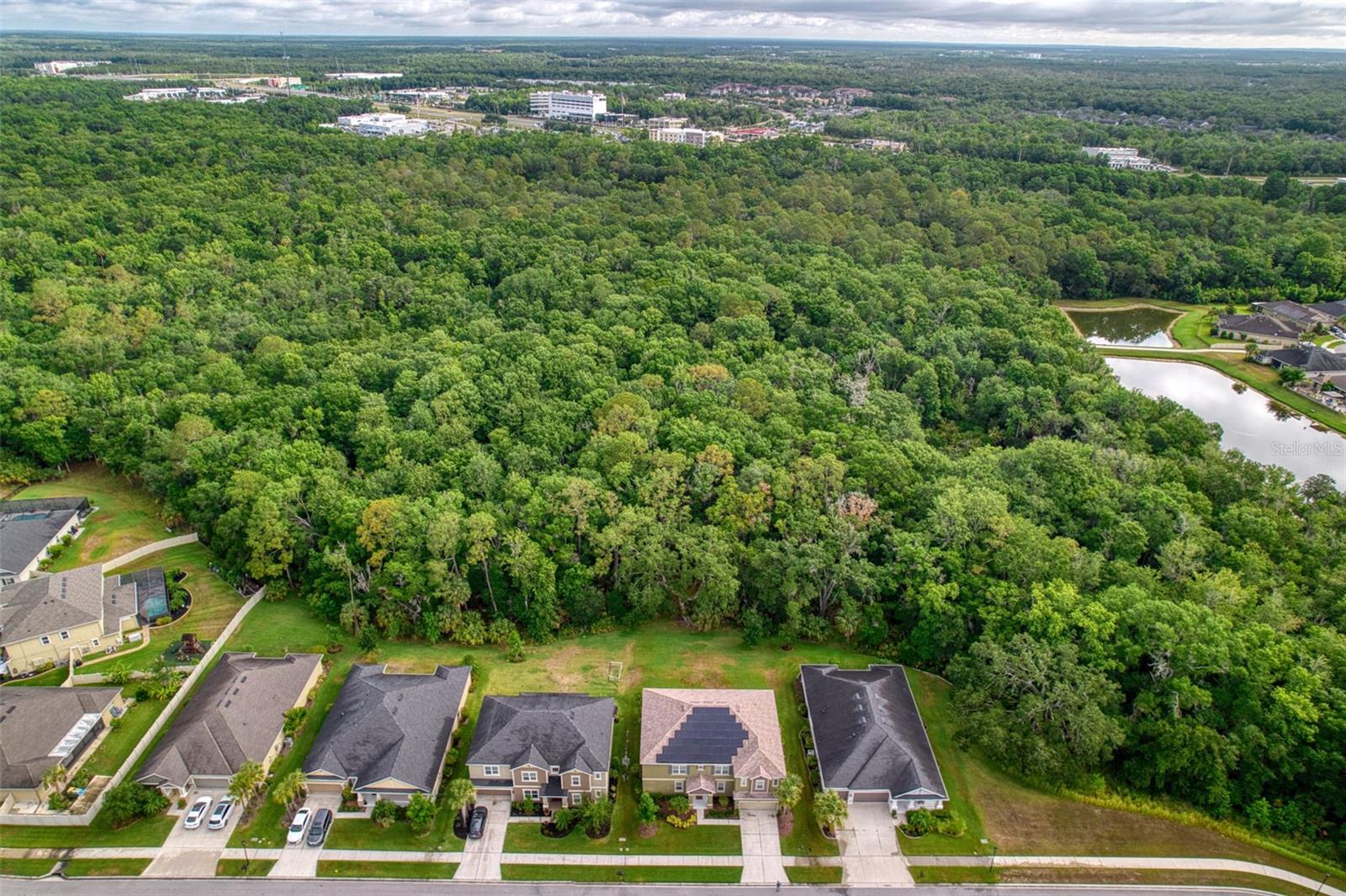 26888 FIDDLEWOOD LOOP, WESLEY CHAPEL, FL, 33544