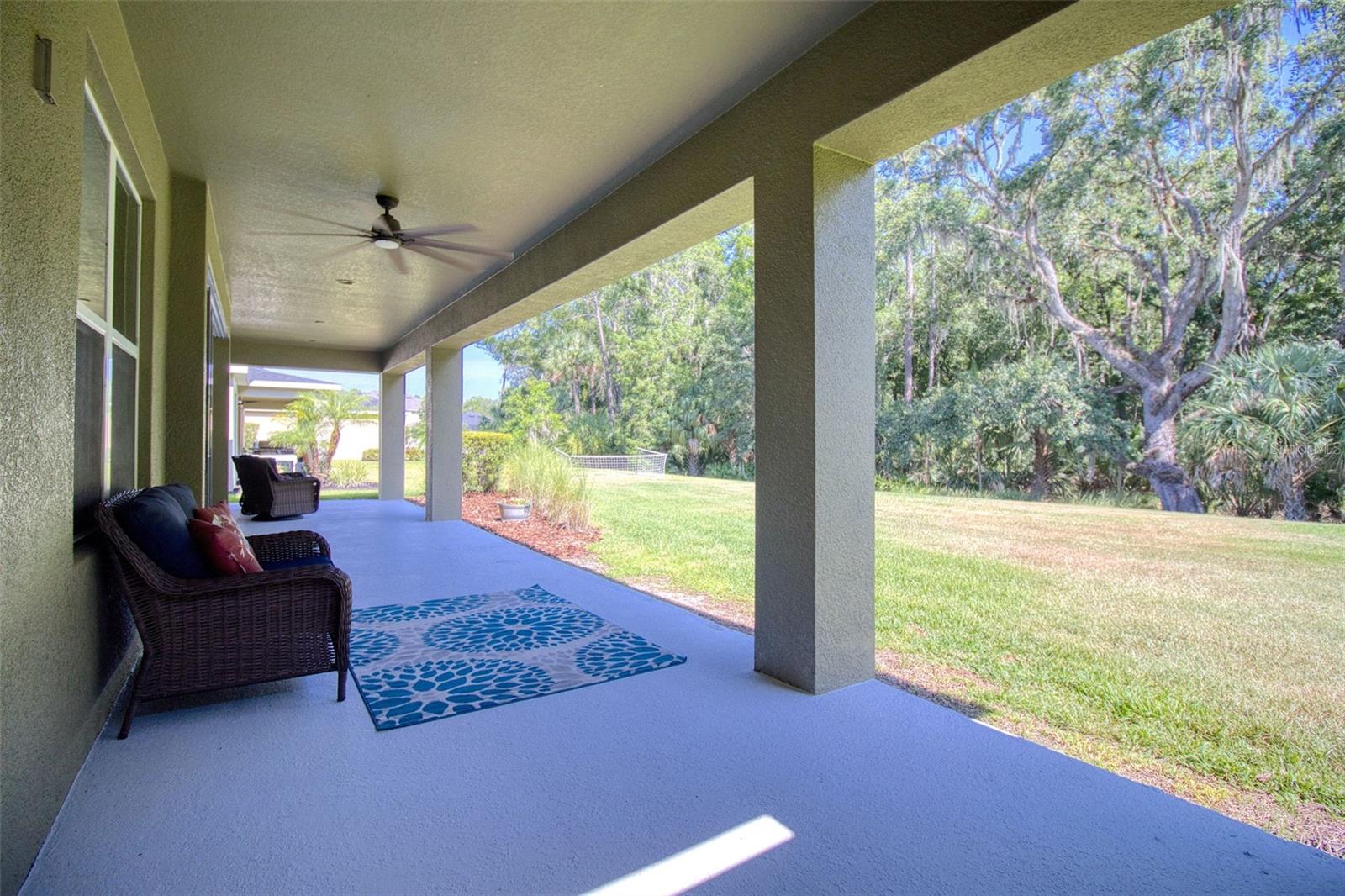 26888 FIDDLEWOOD LOOP, WESLEY CHAPEL, FL, 33544