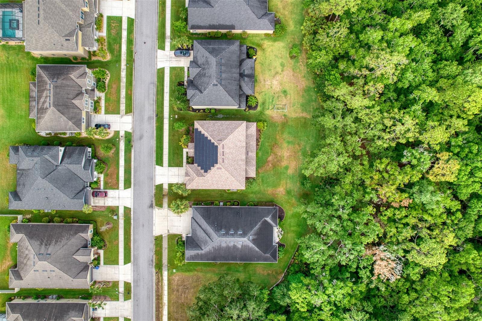 26888 FIDDLEWOOD LOOP, WESLEY CHAPEL, FL, 33544