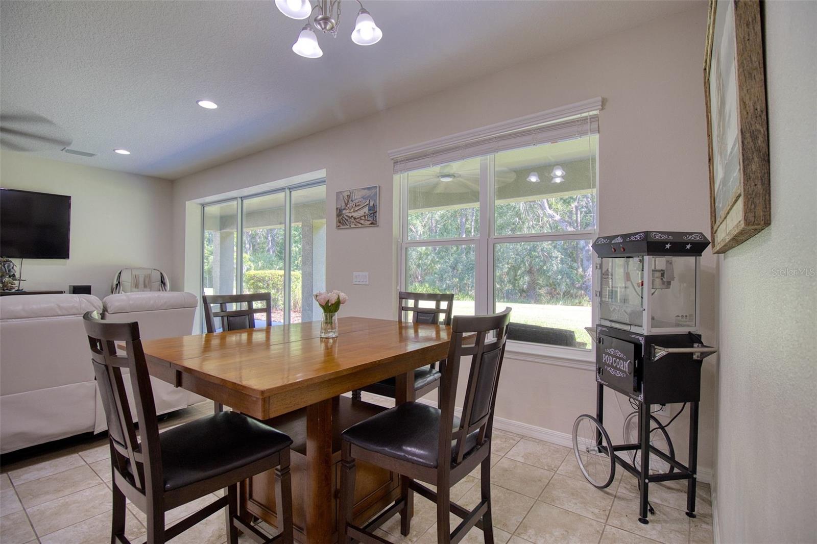 26888 FIDDLEWOOD LOOP, WESLEY CHAPEL, FL, 33544