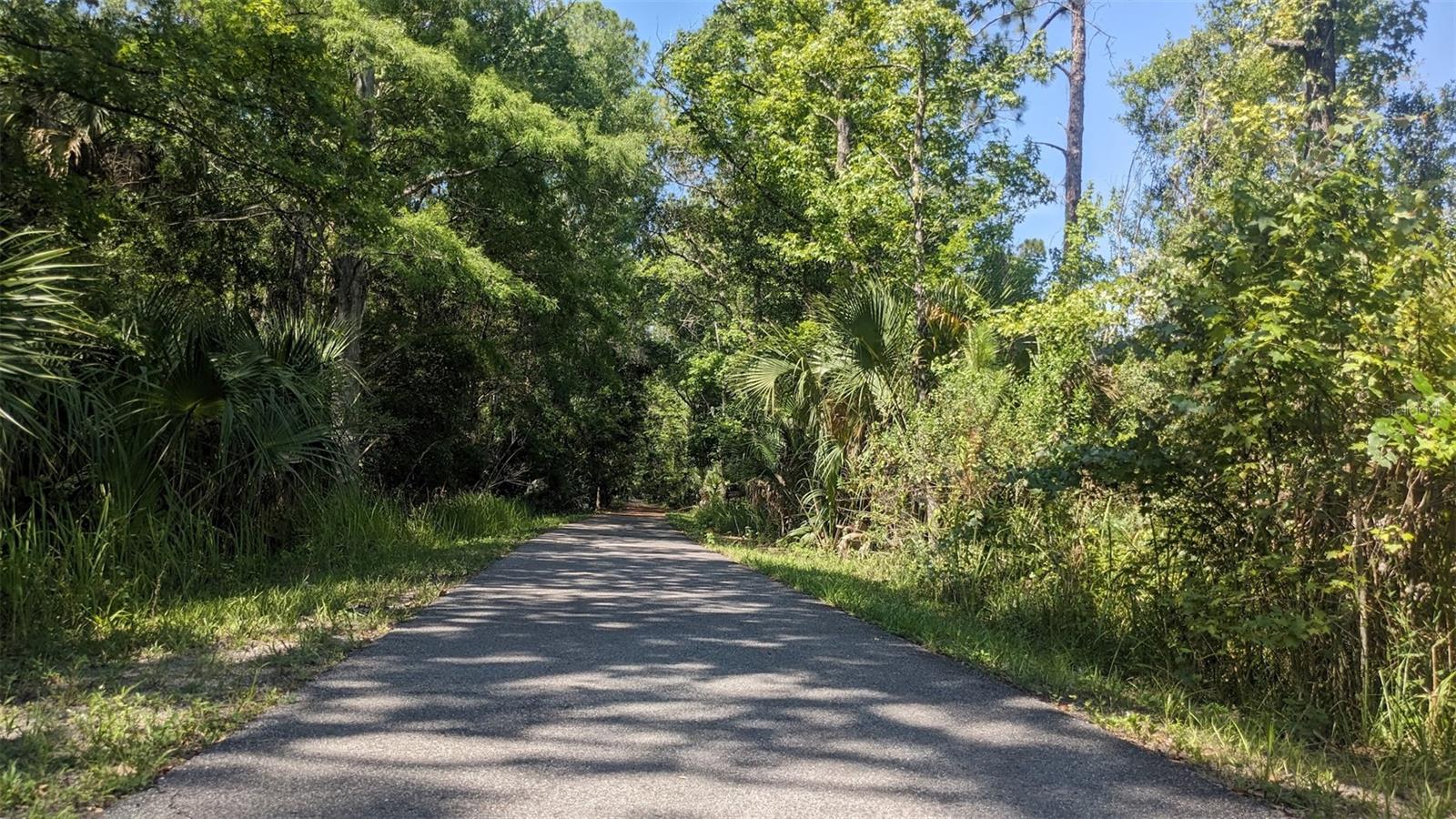 26888 FIDDLEWOOD LOOP, WESLEY CHAPEL, FL, 33544