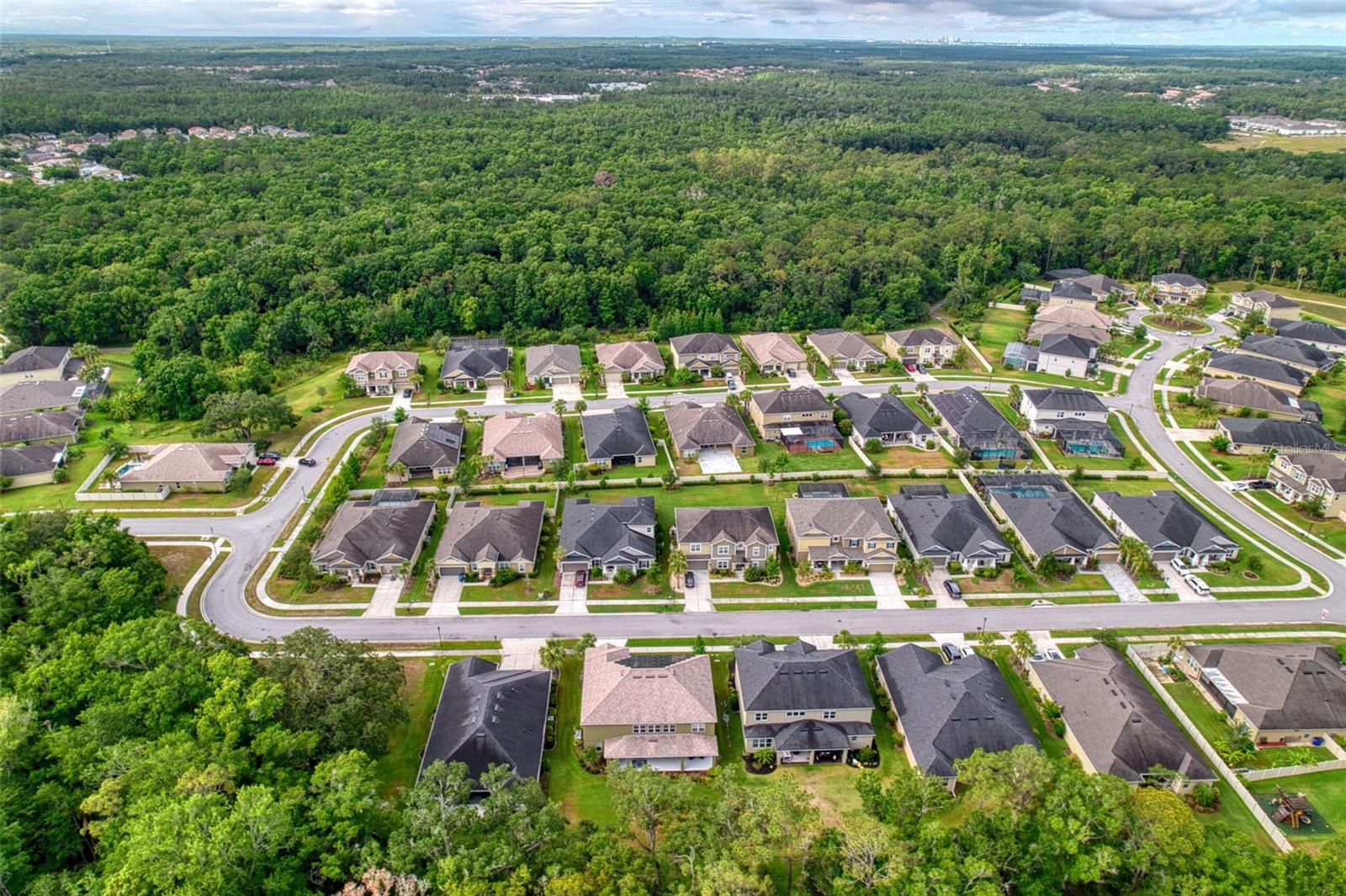 26888 FIDDLEWOOD LOOP, WESLEY CHAPEL, FL, 33544