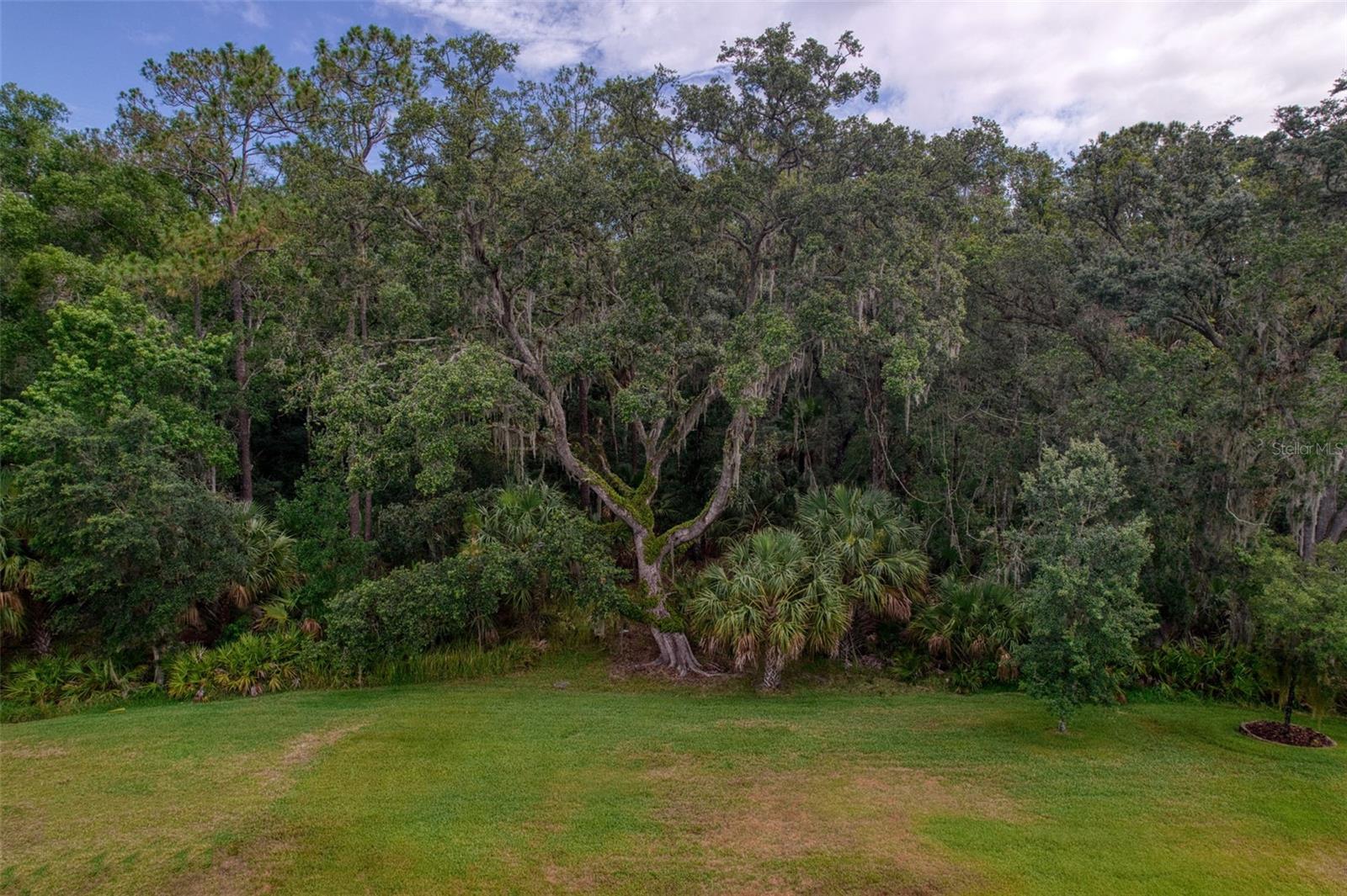 26888 FIDDLEWOOD LOOP, WESLEY CHAPEL, FL, 33544