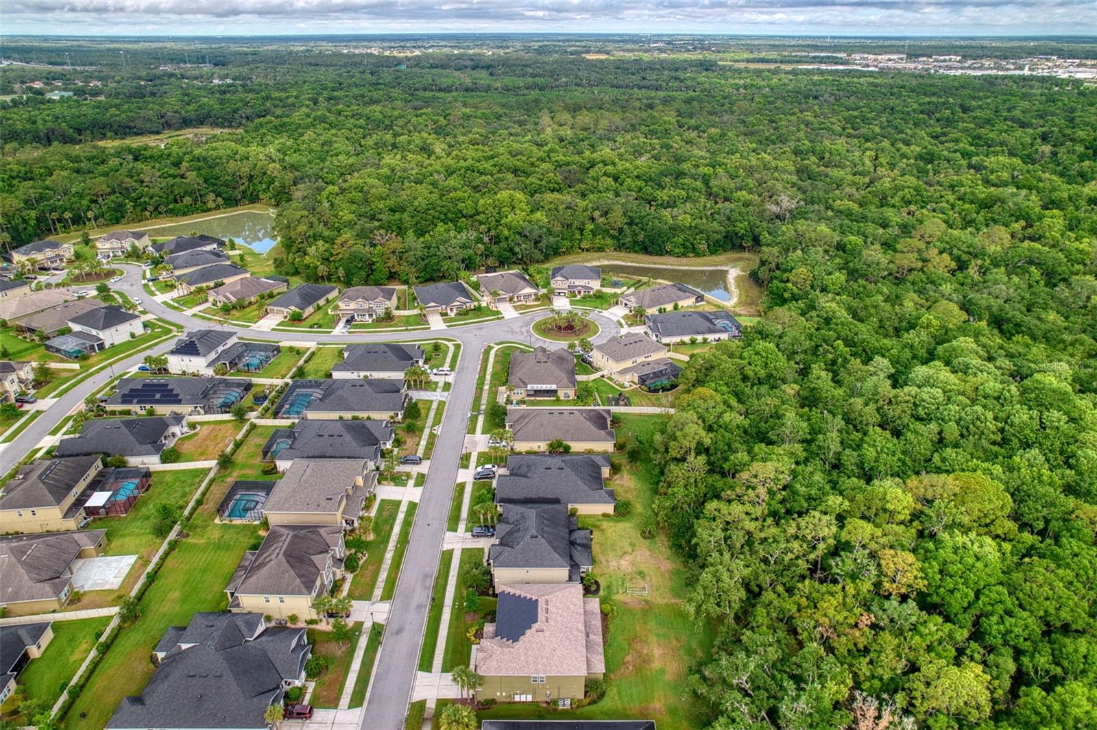 26888 FIDDLEWOOD LOOP, WESLEY CHAPEL, FL, 33544