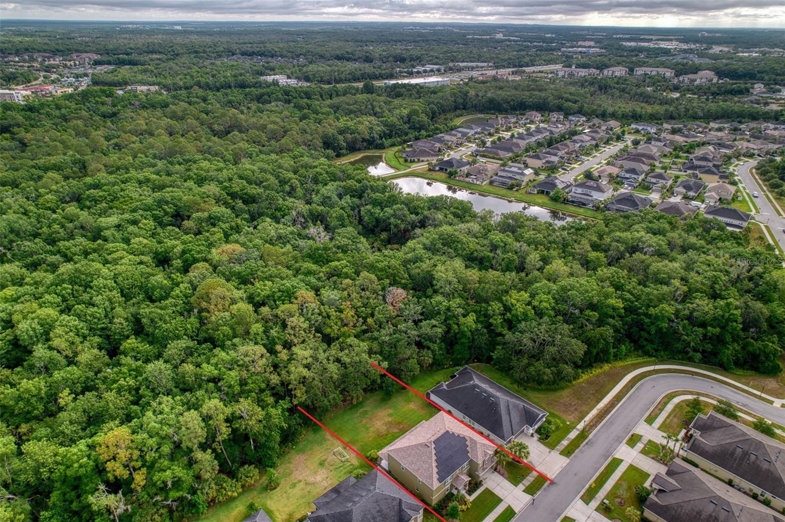 26888 FIDDLEWOOD LOOP, WESLEY CHAPEL, FL, 33544