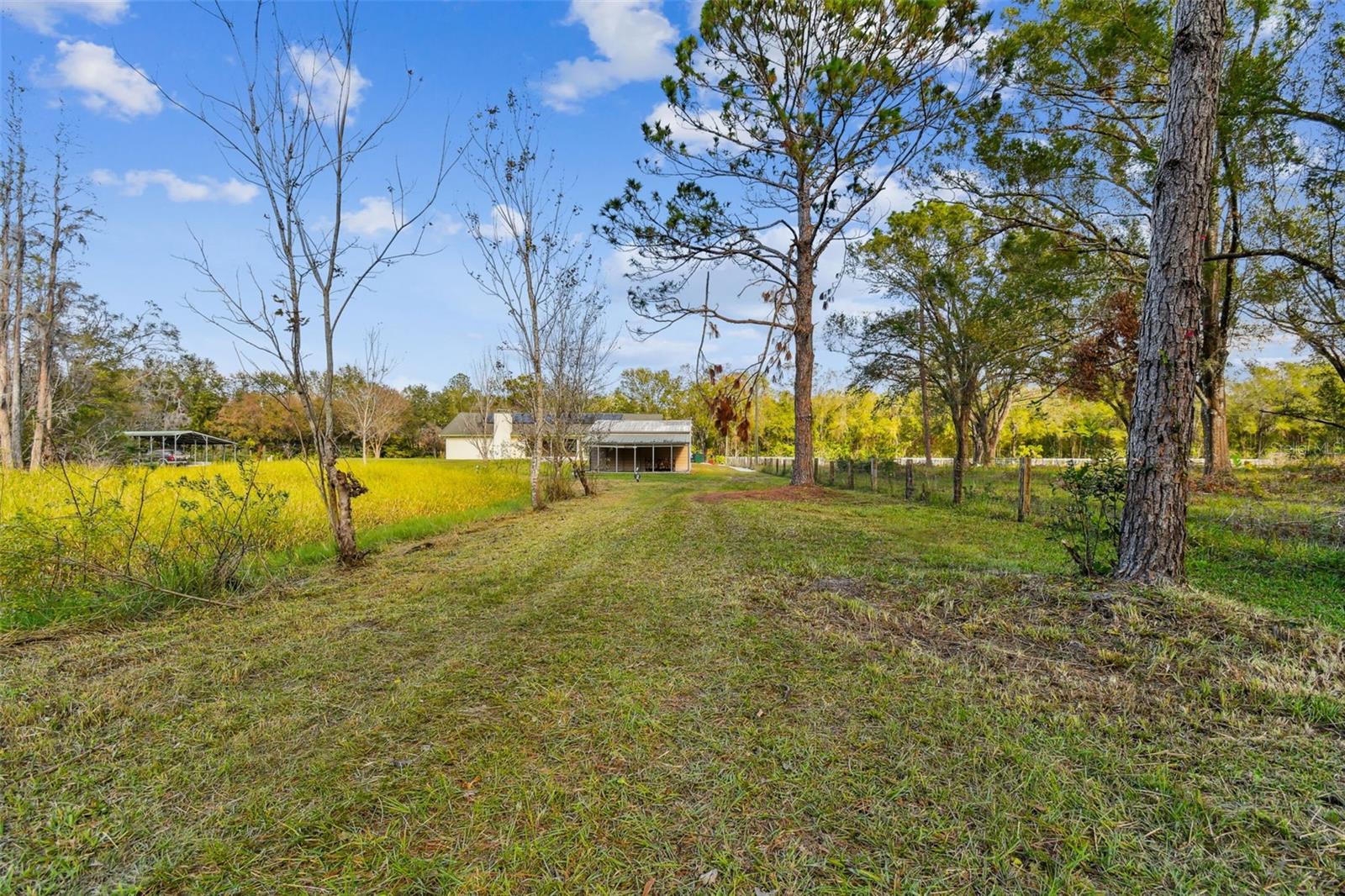 1627 CREEK RD, WESLEY CHAPEL, FL, 33543