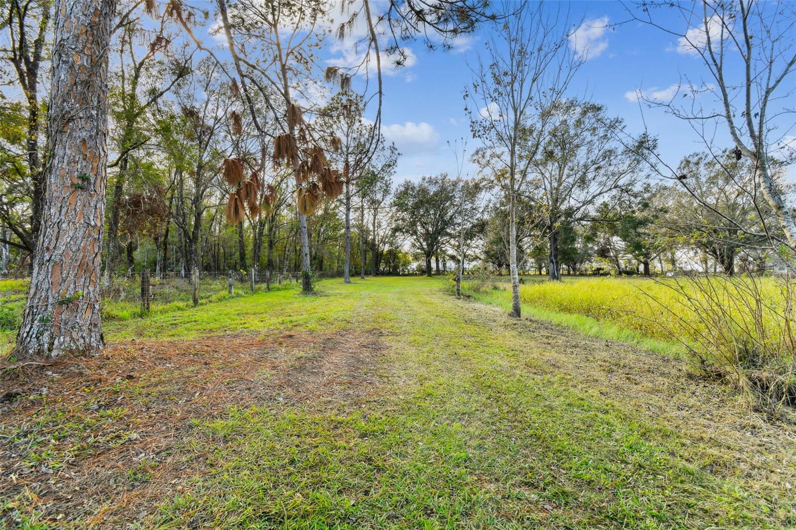 1627 CREEK RD, WESLEY CHAPEL, FL, 33543