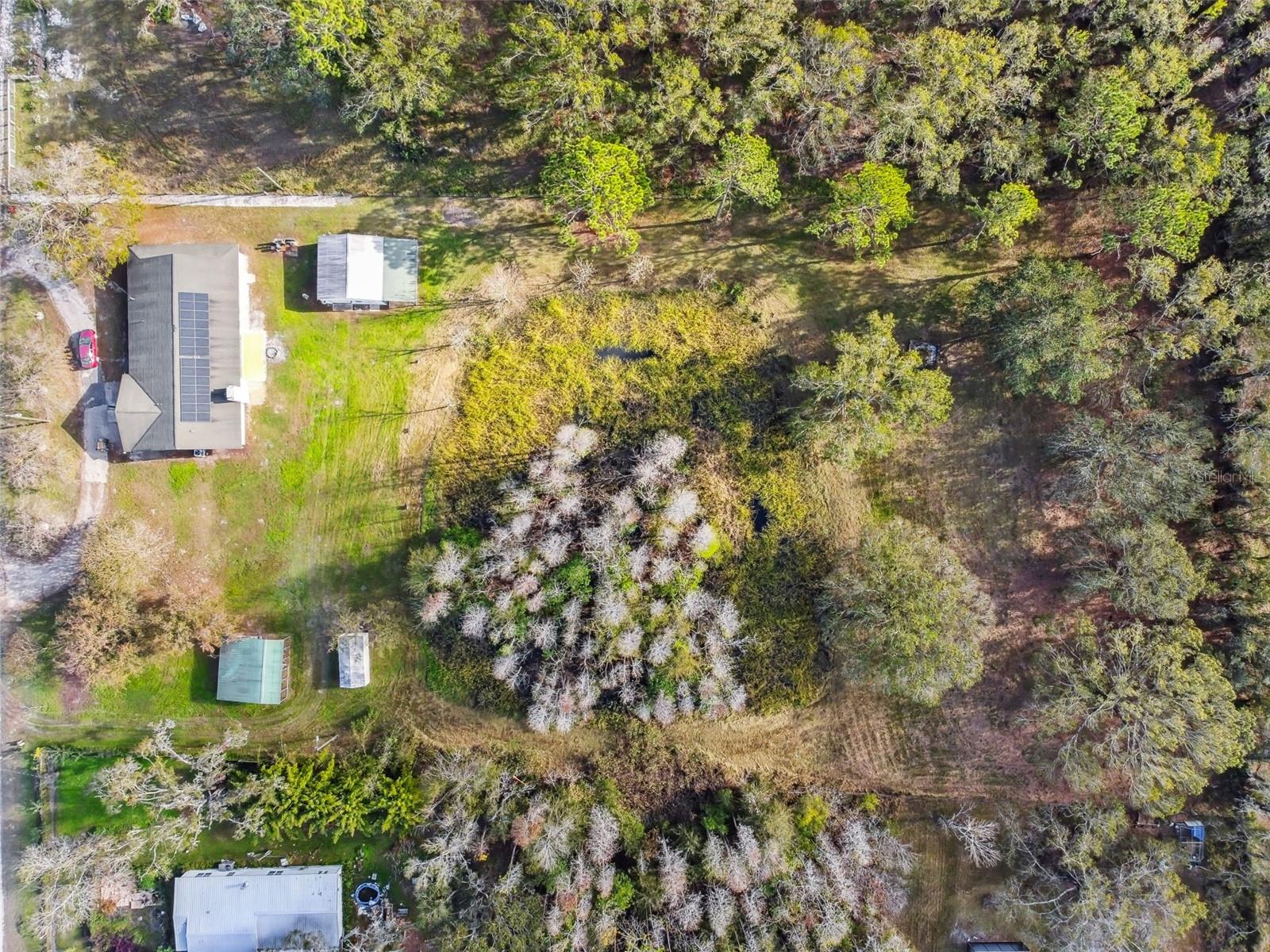 1627 CREEK RD, WESLEY CHAPEL, FL, 33543