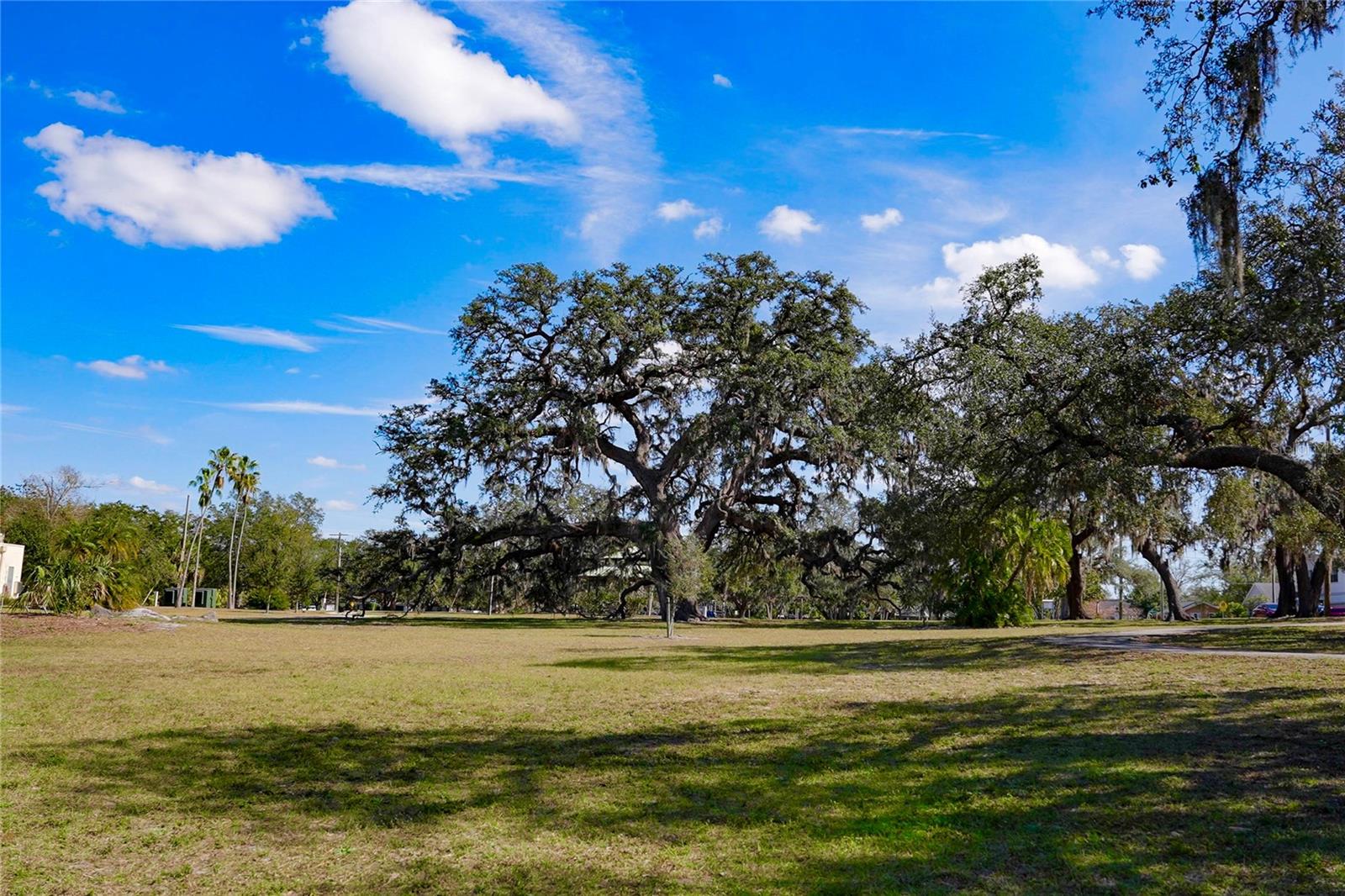 4709 N WILLIS ST, TAMPA, FL, 33603