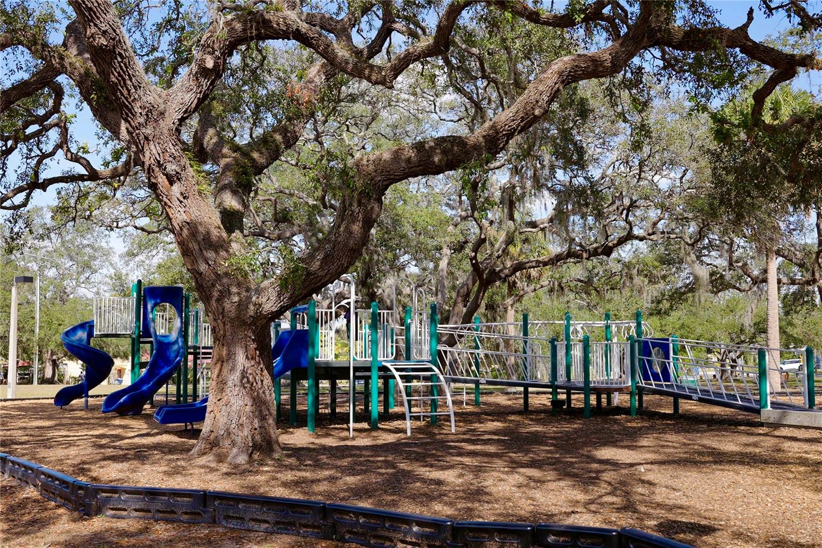 4709 N WILLIS ST, TAMPA, FL, 33603