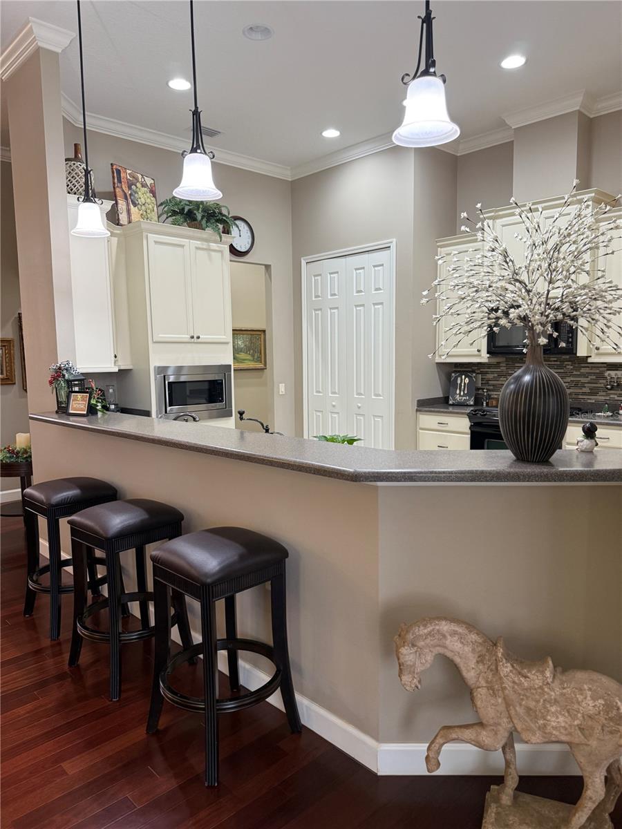 8293 BRIDGEPORT BAY CIR, MOUNT DORA, FL, 32757