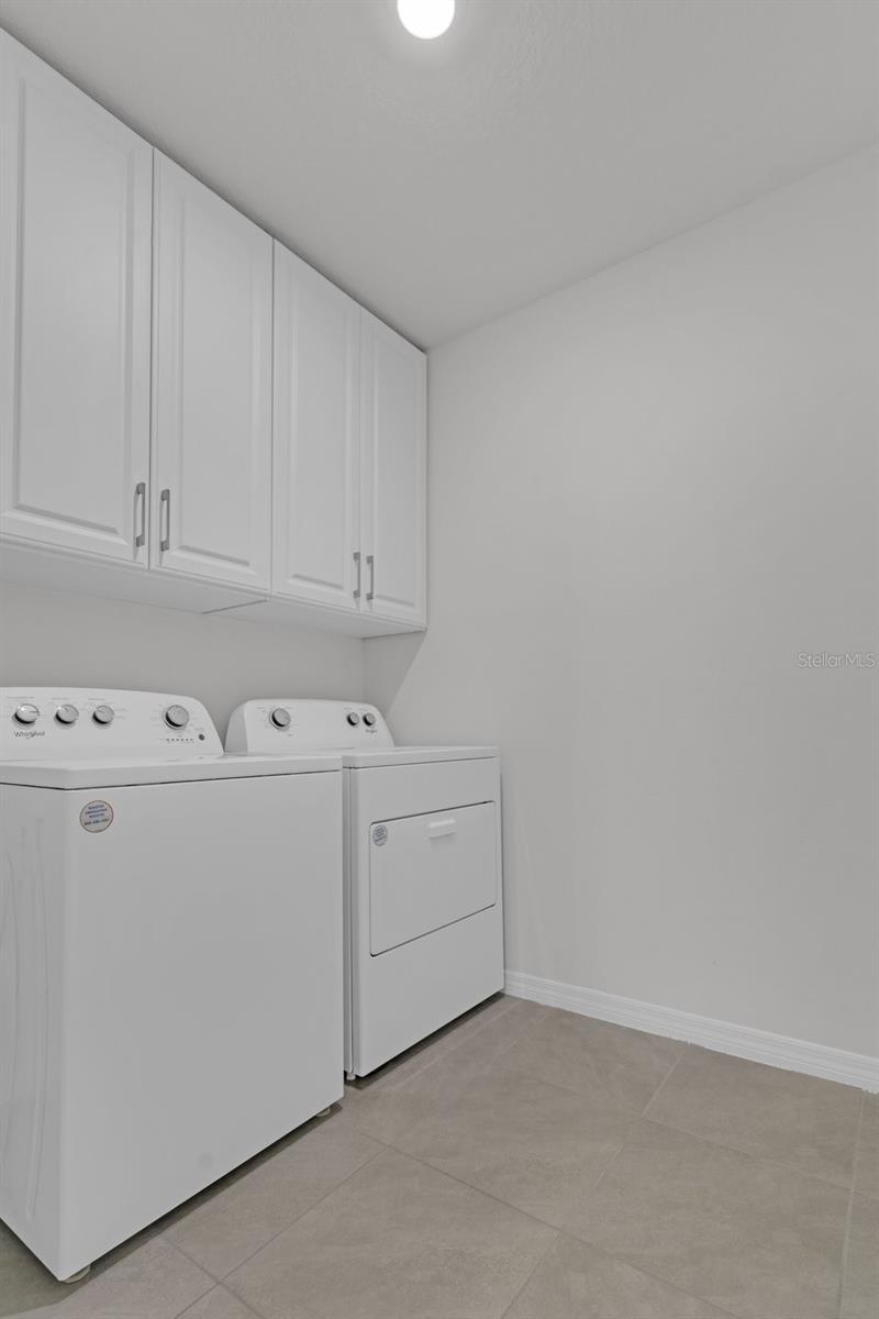 16938 TRITE BEND ST, WIMAUMA, FL, 33598