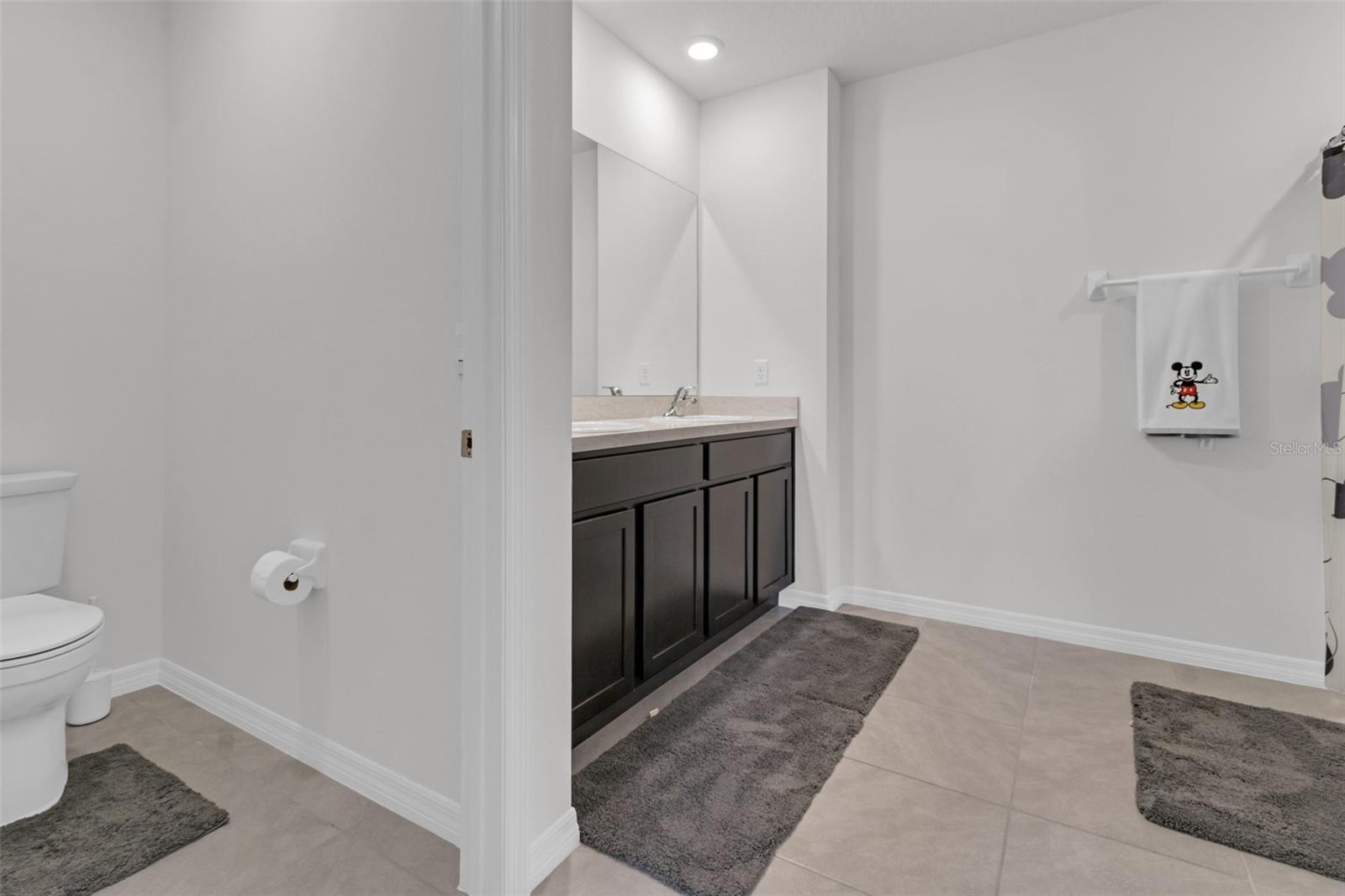 16938 TRITE BEND ST, WIMAUMA, FL, 33598