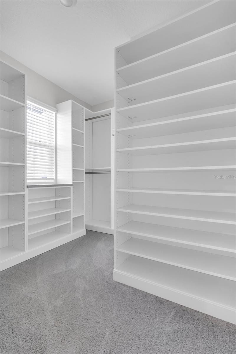 16938 TRITE BEND ST, WIMAUMA, FL, 33598