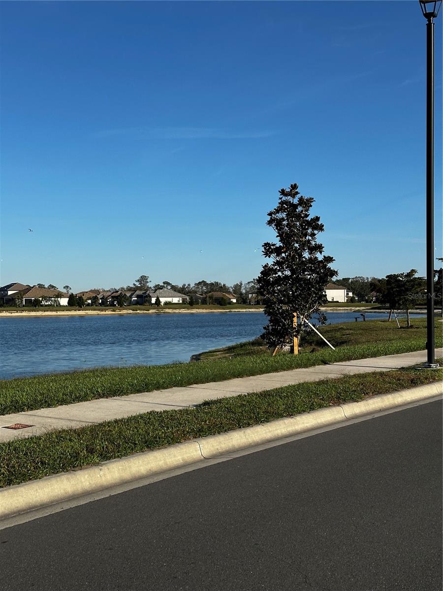 14964 SERENE SHORES LOOP, BRADENTON, FL, 34211