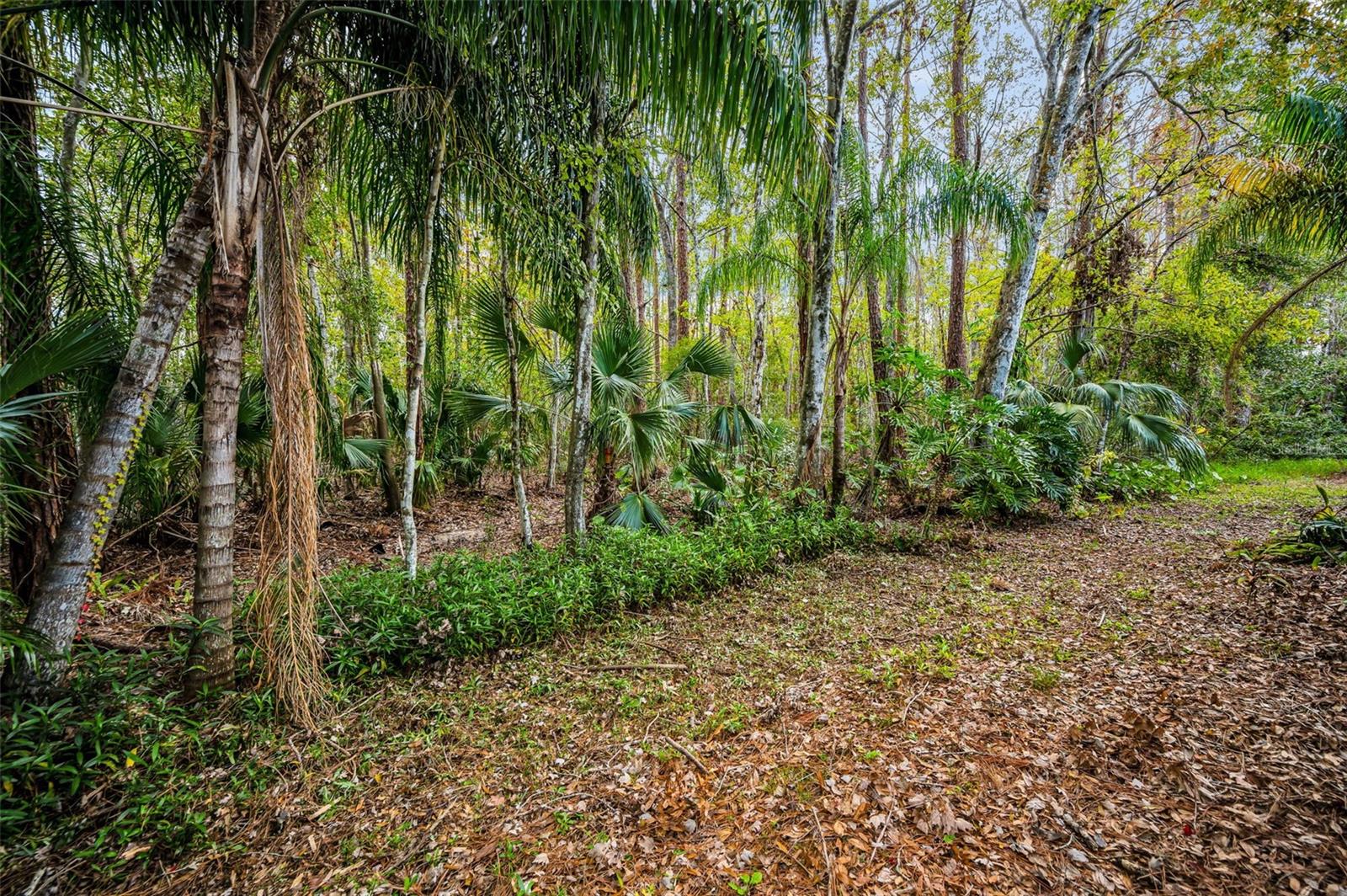 3254 CENTERWOOD DR, TARPON SPRINGS, FL, 34688