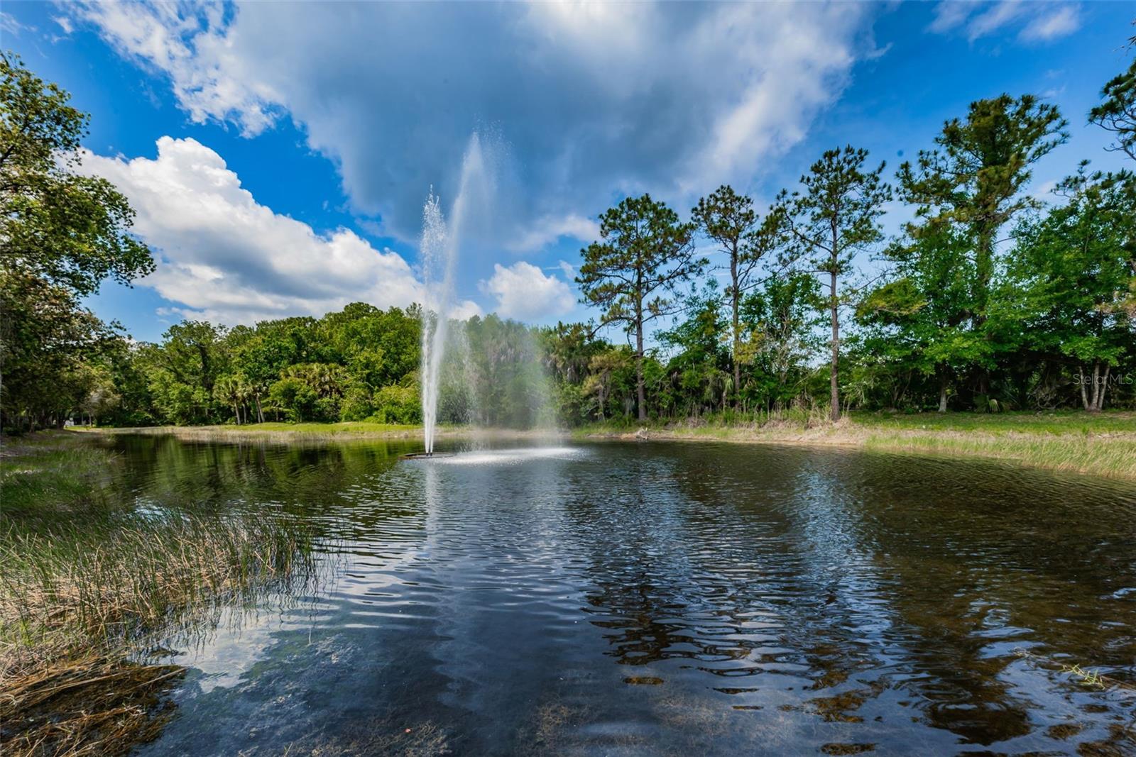 3254 CENTERWOOD DR, TARPON SPRINGS, FL, 34688