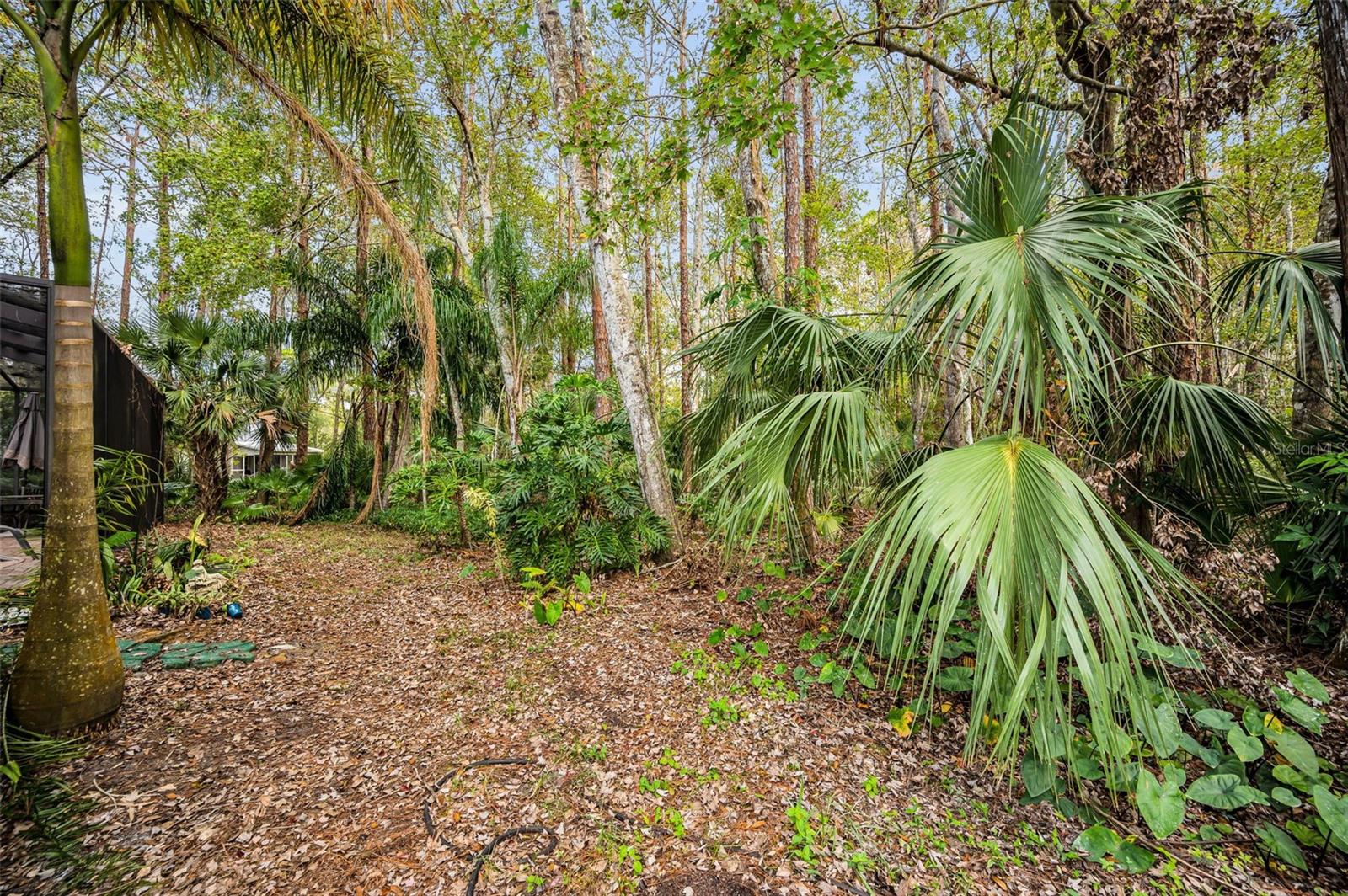 3254 CENTERWOOD DR, TARPON SPRINGS, FL, 34688