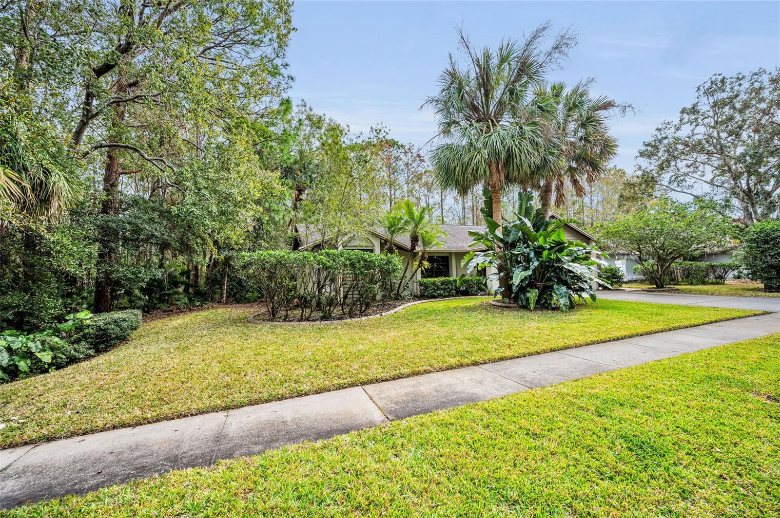 3254 CENTERWOOD DR, TARPON SPRINGS, FL, 34688