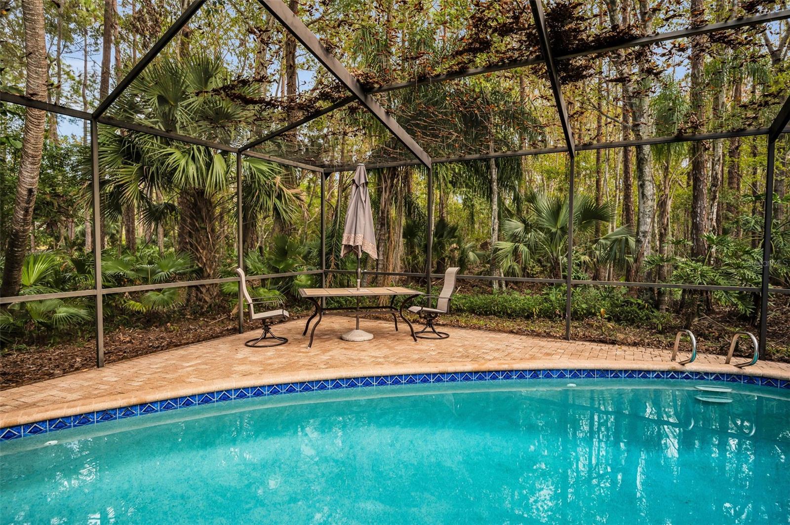 3254 CENTERWOOD DR, TARPON SPRINGS, FL, 34688