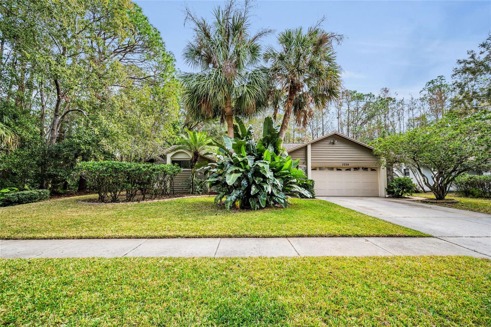 3254 CENTERWOOD DR, TARPON SPRINGS, FL, 34688