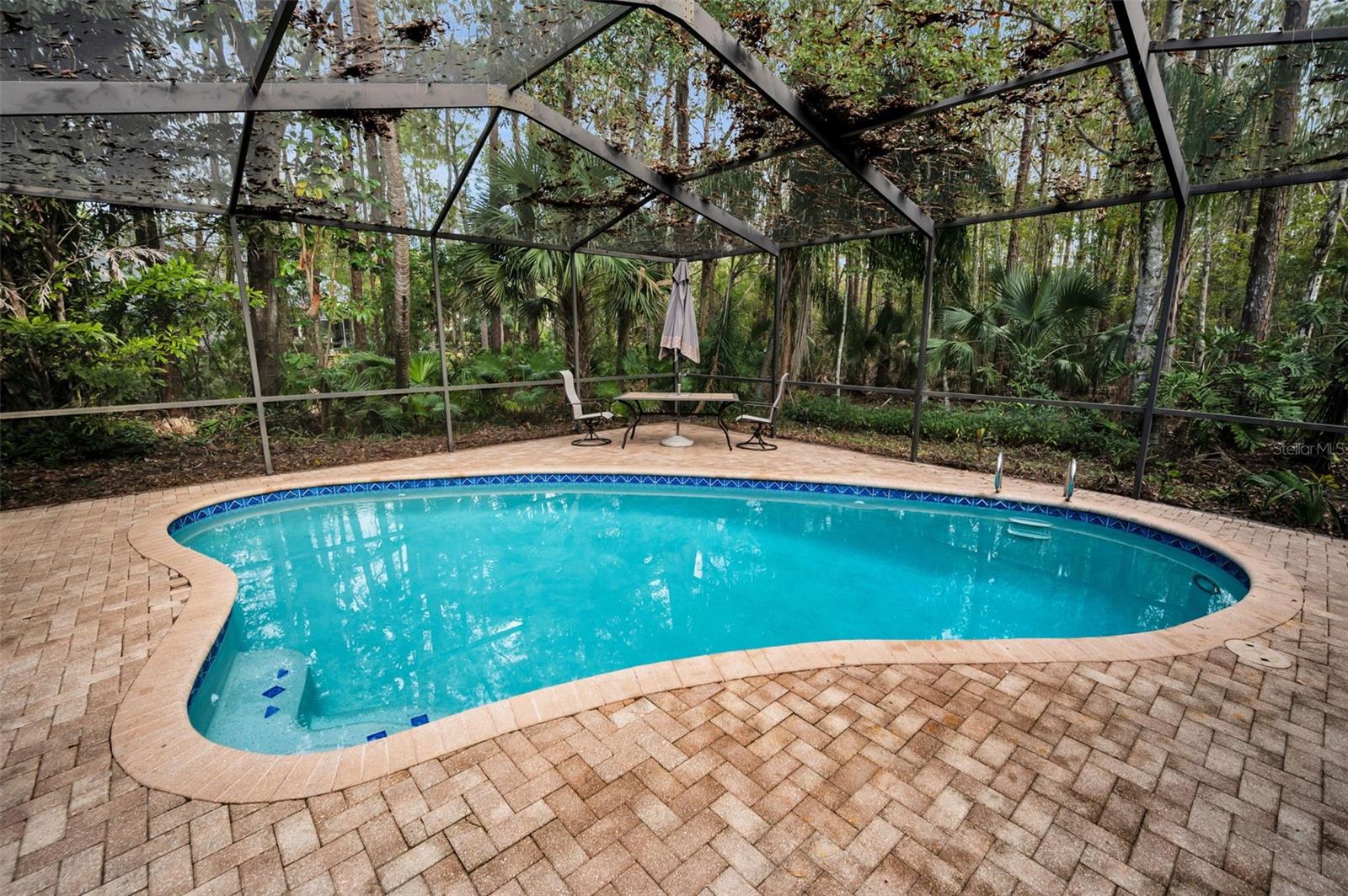 3254 CENTERWOOD DR, TARPON SPRINGS, FL, 34688