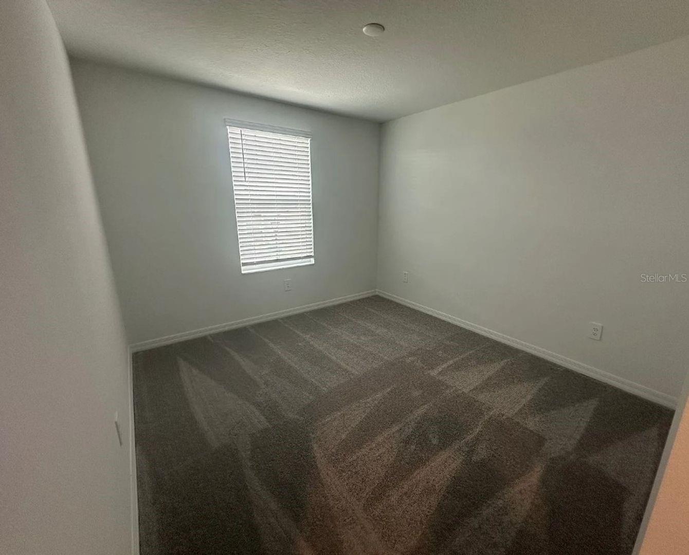 35432 ACKLEY TRCE, ZEPHYRHILLS, FL, 33541