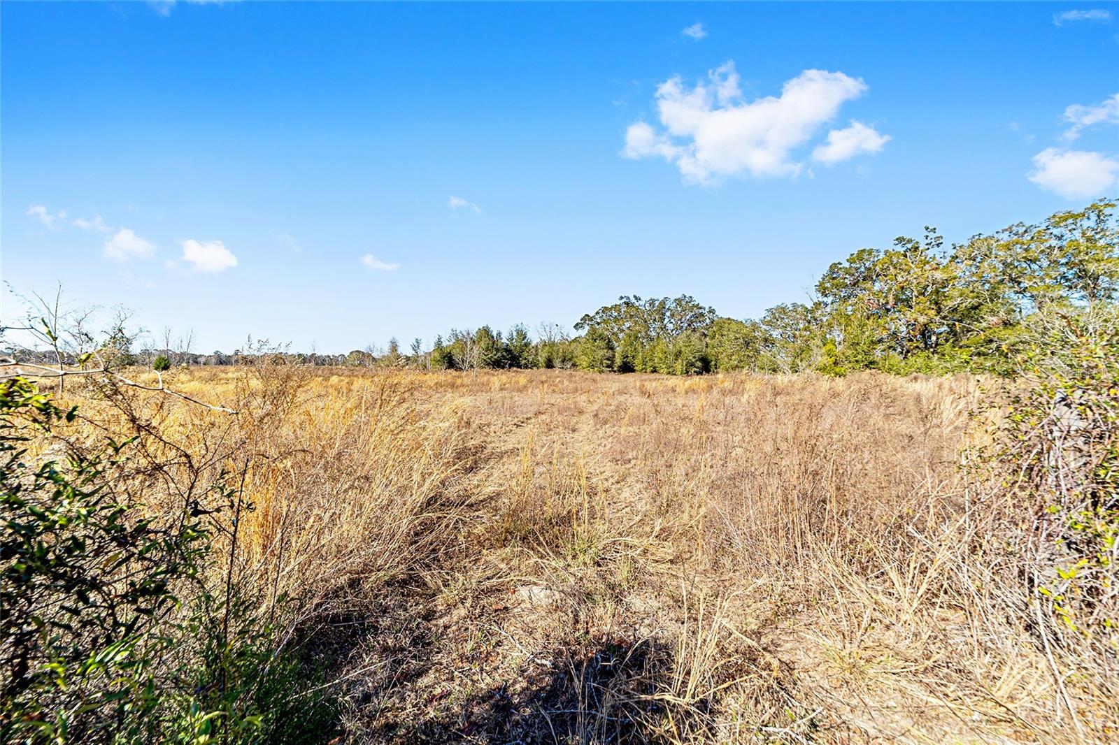 7100 SW COUNTY ROAD 344, BELL, FL, 32619