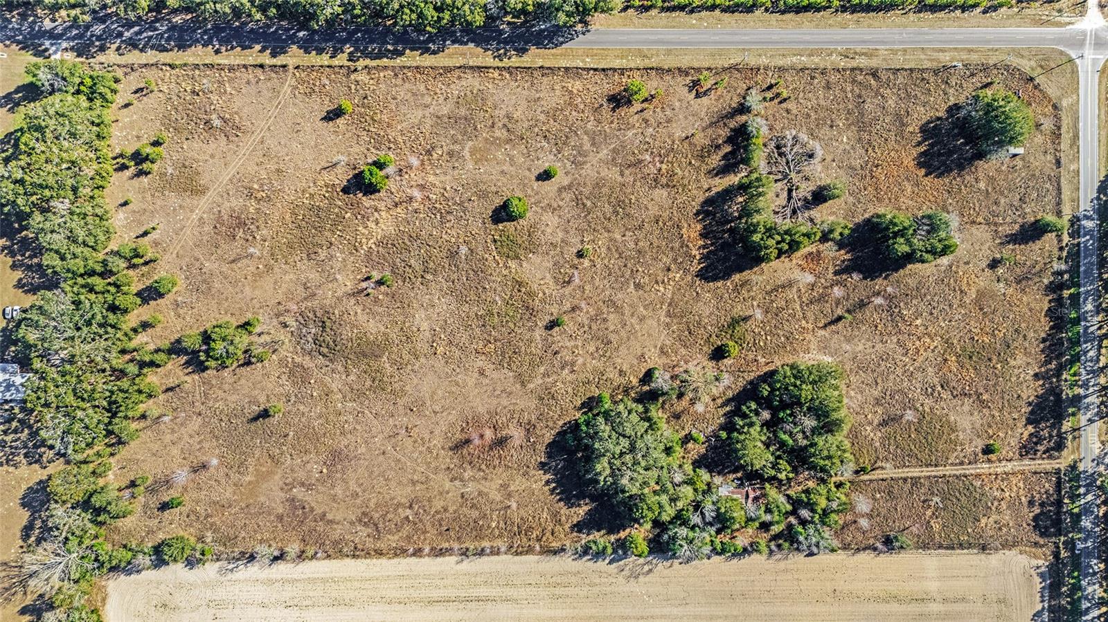 7100 SW COUNTY ROAD 344, BELL, FL, 32619