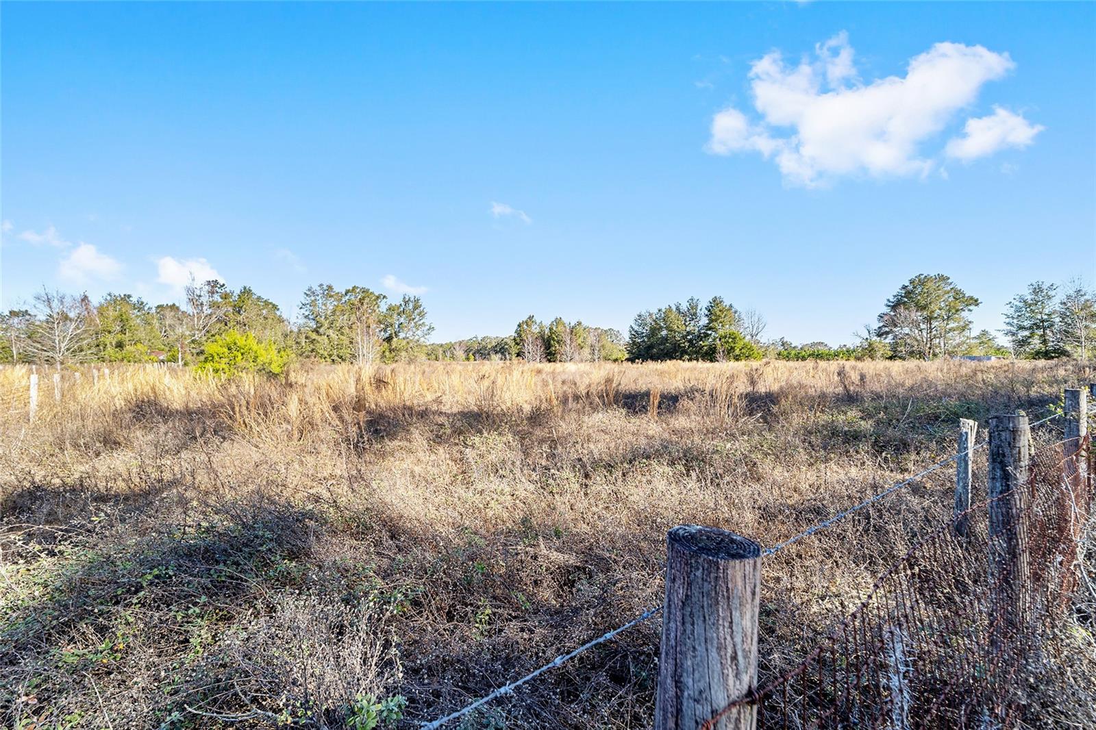 7100 SW COUNTY ROAD 344, BELL, FL, 32619