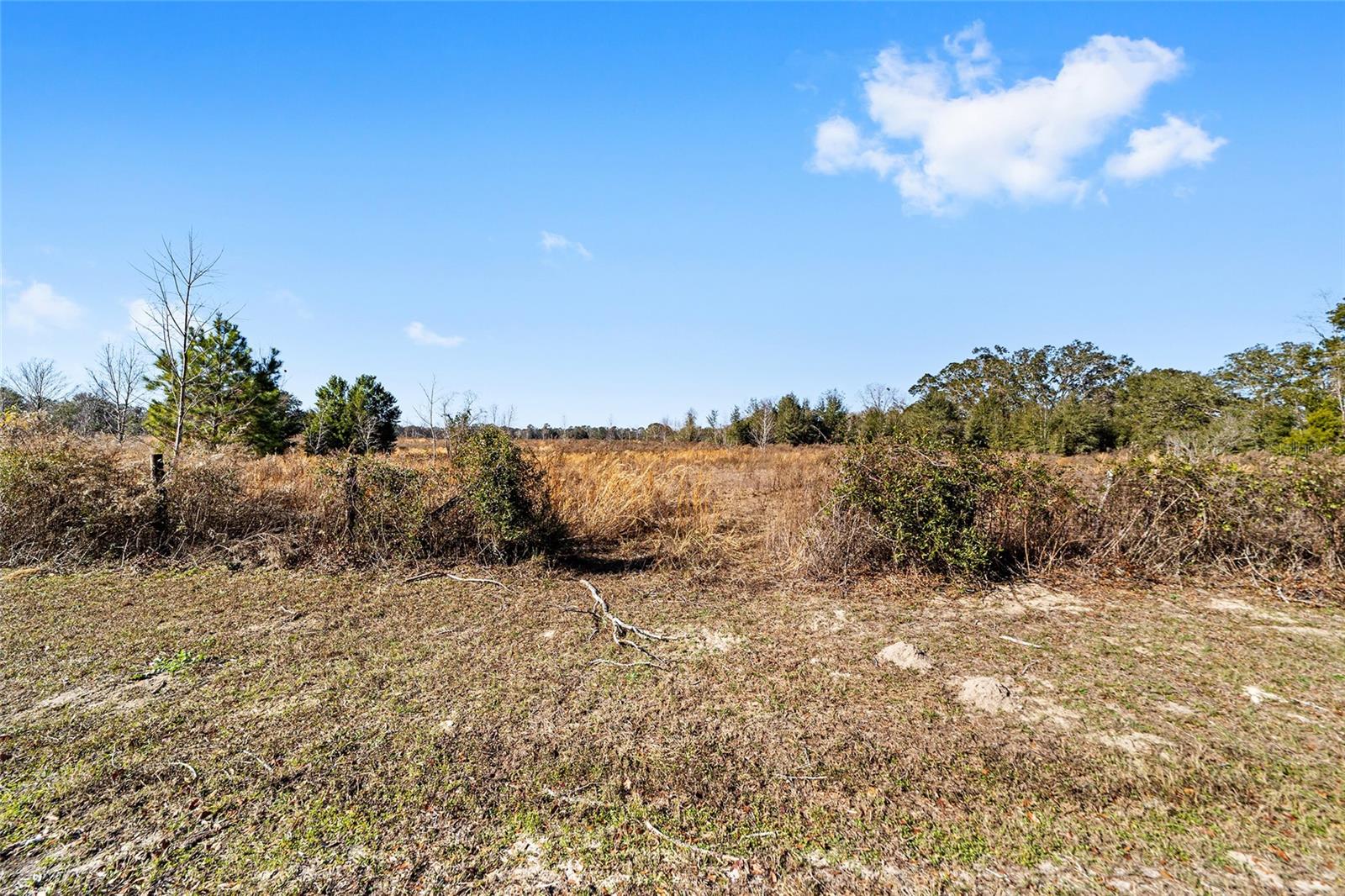 7100 SW COUNTY ROAD 344, BELL, FL, 32619