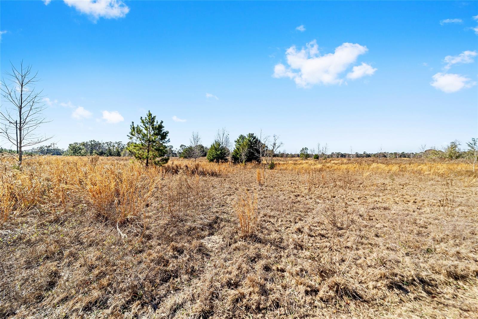 7100 SW COUNTY ROAD 344, BELL, FL, 32619