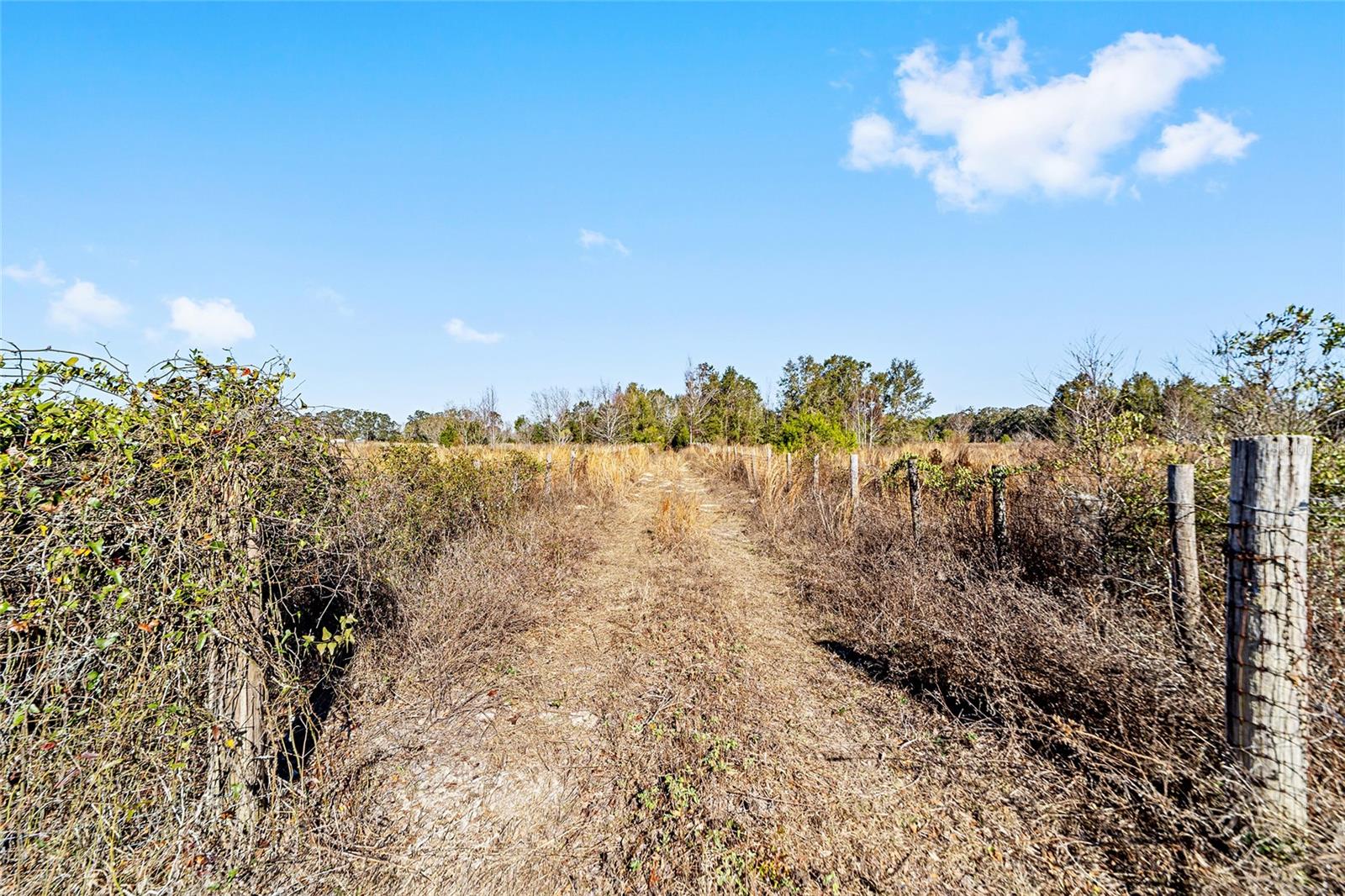 7100 SW COUNTY ROAD 344, BELL, FL, 32619